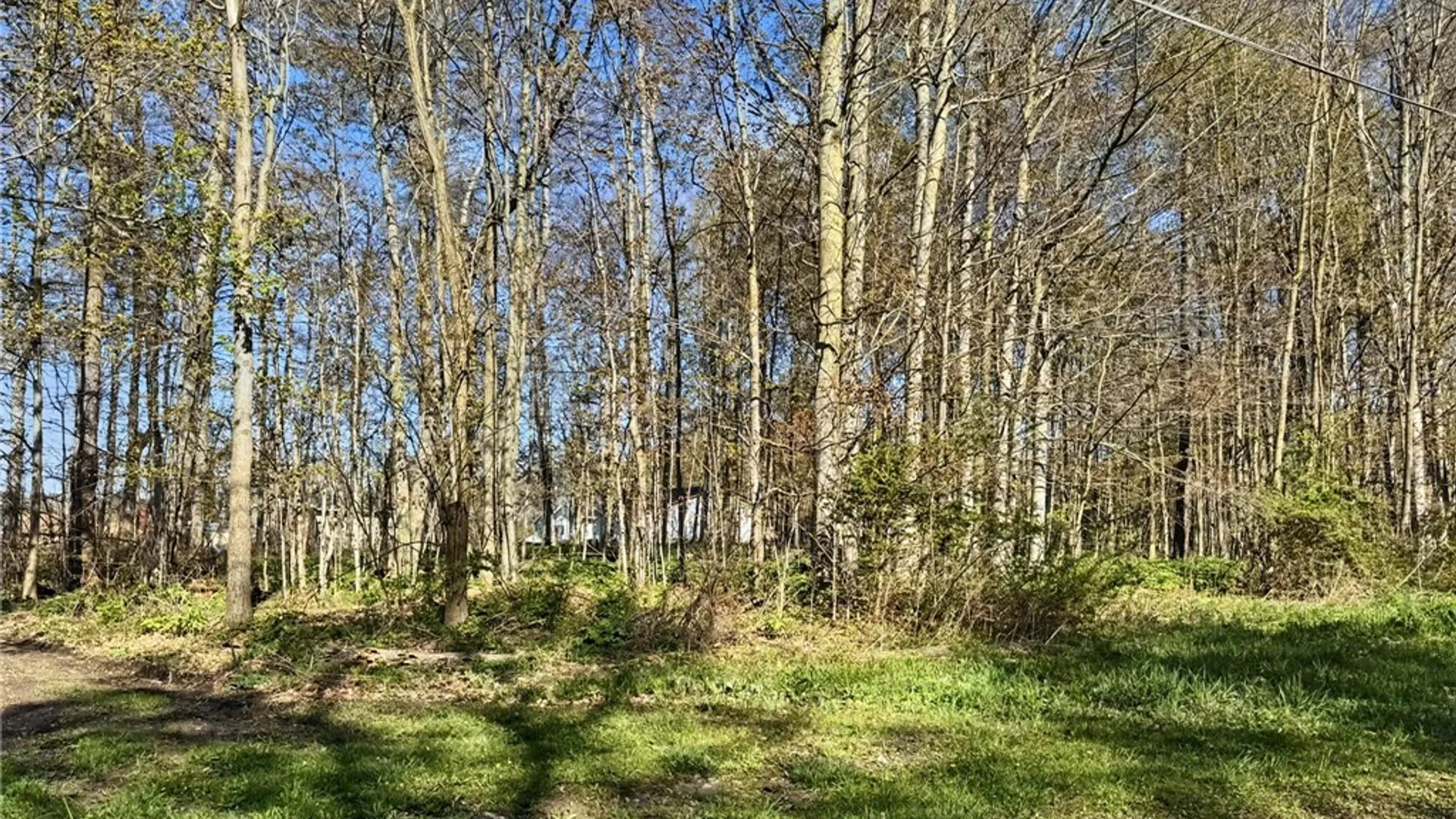 Property at Elm Street, Groton, NY 13073 2
