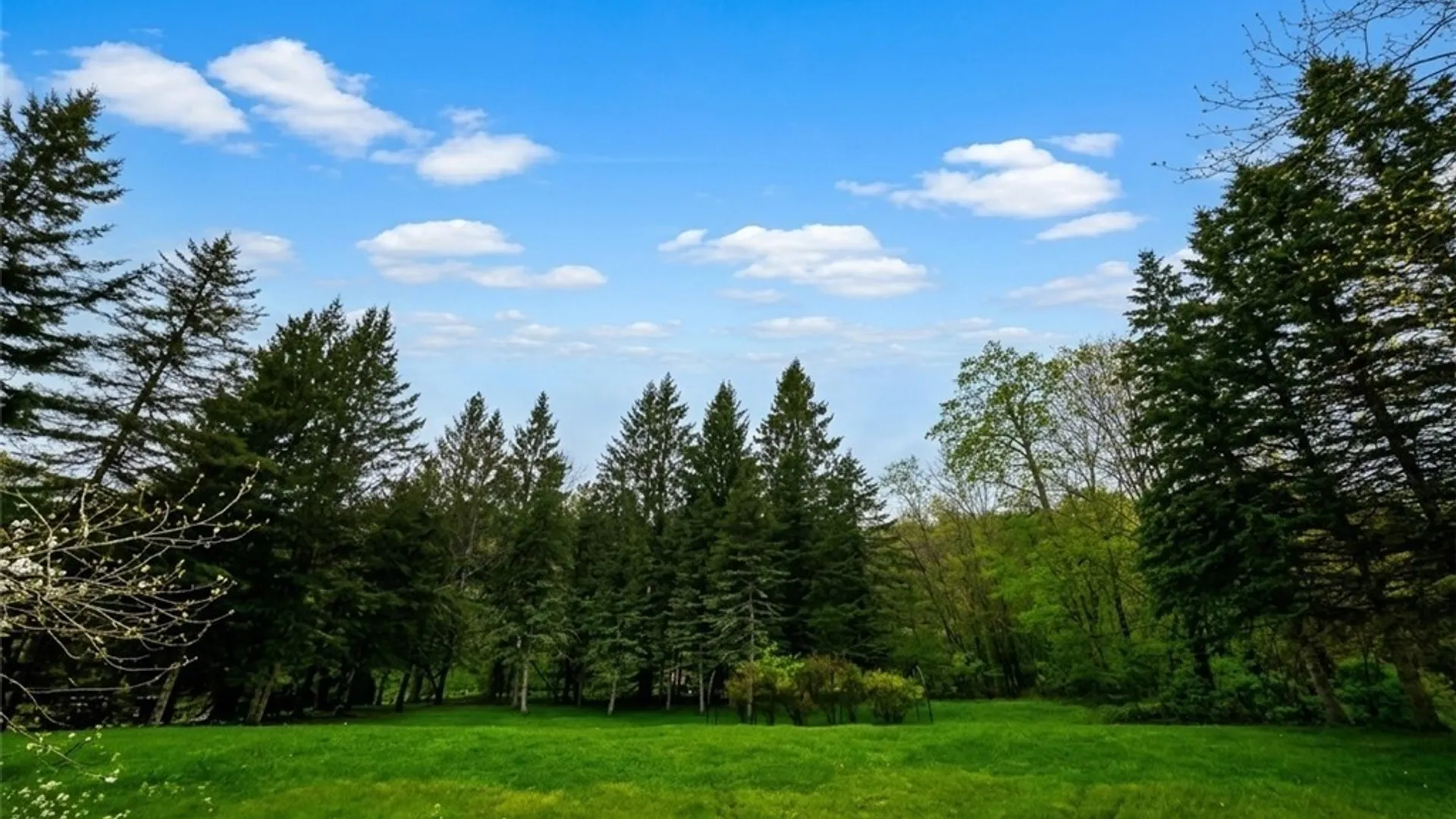 Property at 79 Little Gilbert Lane, Bradford Town, PA 16701 21