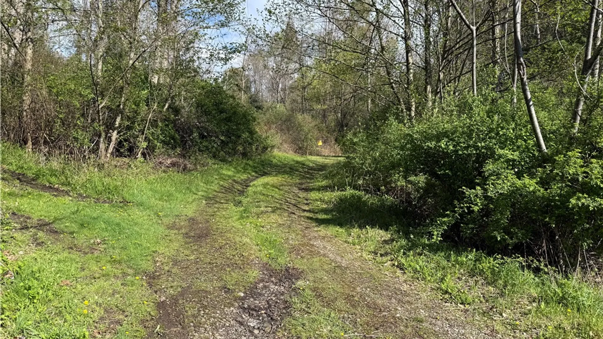 Property at 9155 Smith Road, Lindley, NY 14858 2
