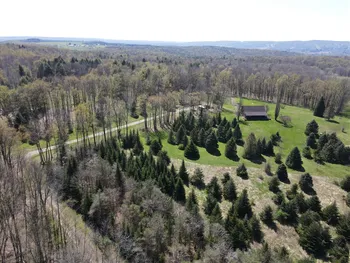Property at 9467 Reagan Road, French Creek, NY 14724