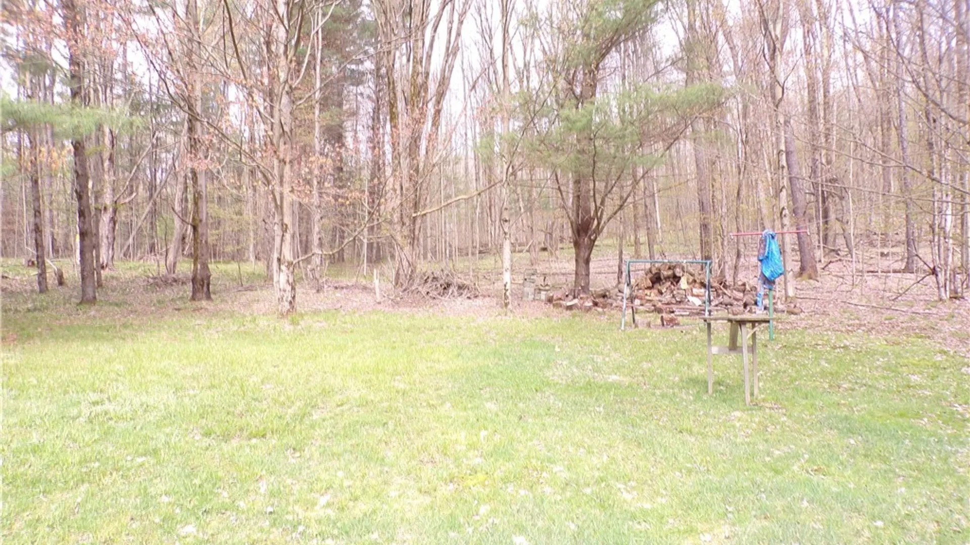 Property at Clair Carrier Road, Wirt, NY 14739 10