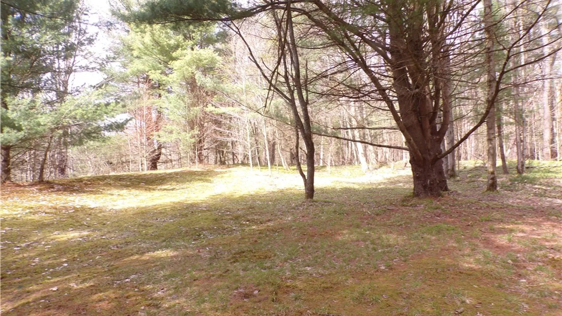 Property at Clair Carrier Road, Wirt, NY 14739 11