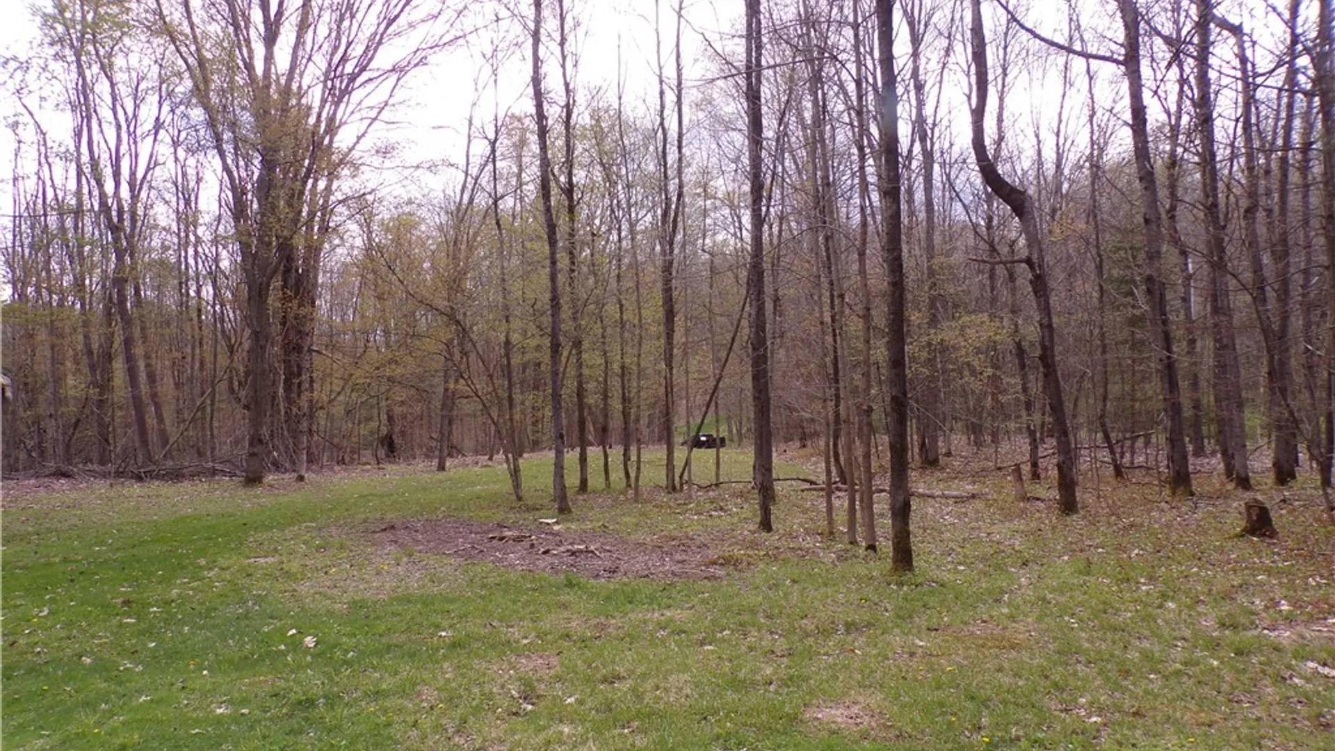 Property at Clair Carrier Road, Wirt, NY 14739 12