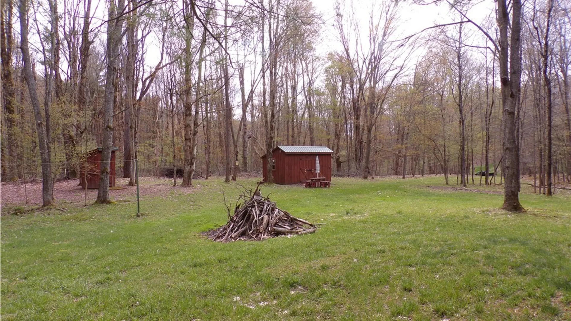 Property at Clair Carrier Road, Wirt, NY 14739 2