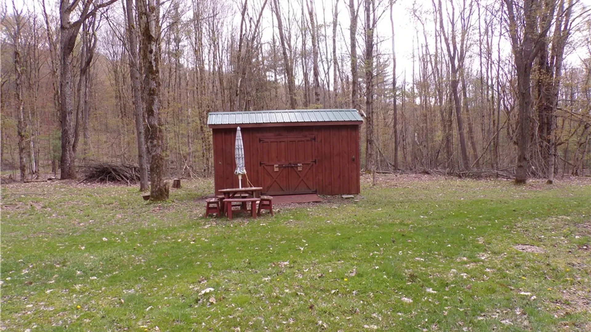 Property at Clair Carrier Road, Wirt, NY 14739 5