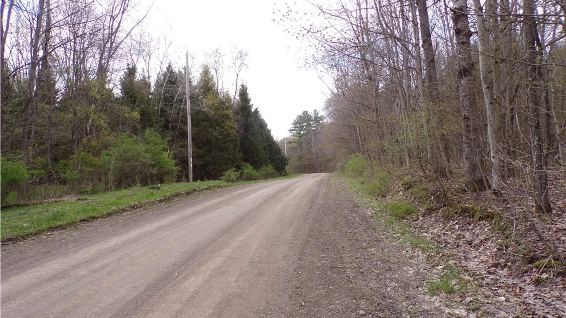 Property at Clair Carrier Road, Wirt, NY 14739 6