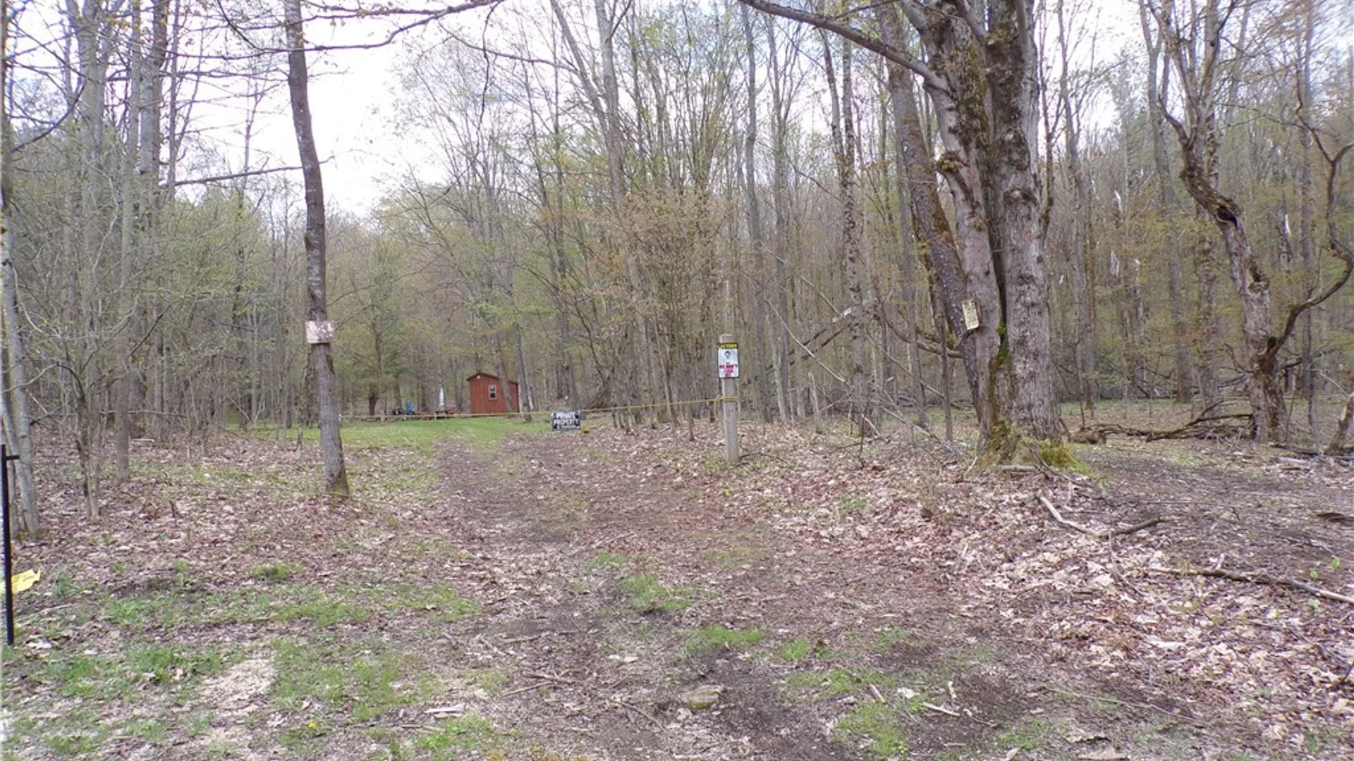 Property at Clair Carrier Road, Wirt, NY 14739 8