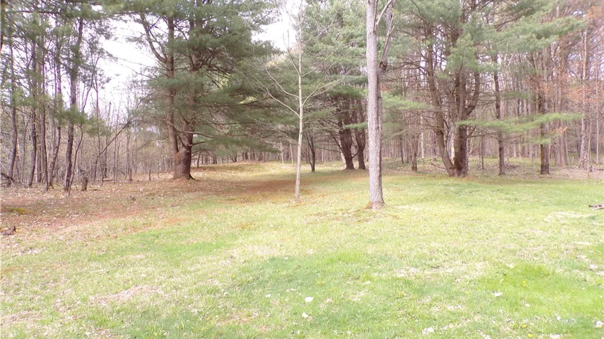 Property at Clair Carrier Road, Wirt, NY 14739 9