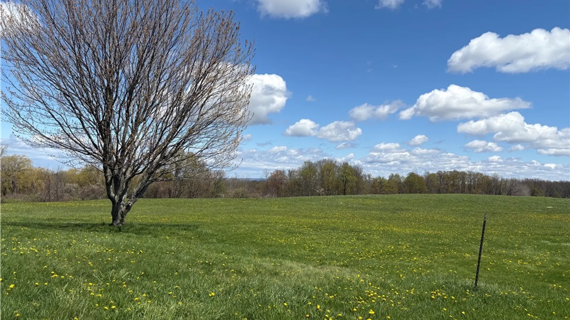Property at 10204 Allegany Road, Hanover, NY 14138 22