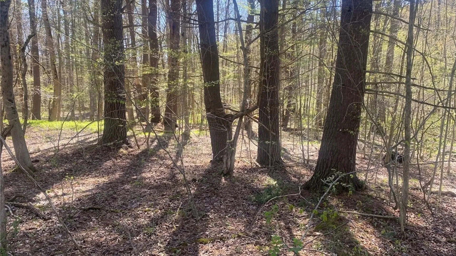 Property at 7309 Tibbetts Hill Road, Belfast, NY 14711 33