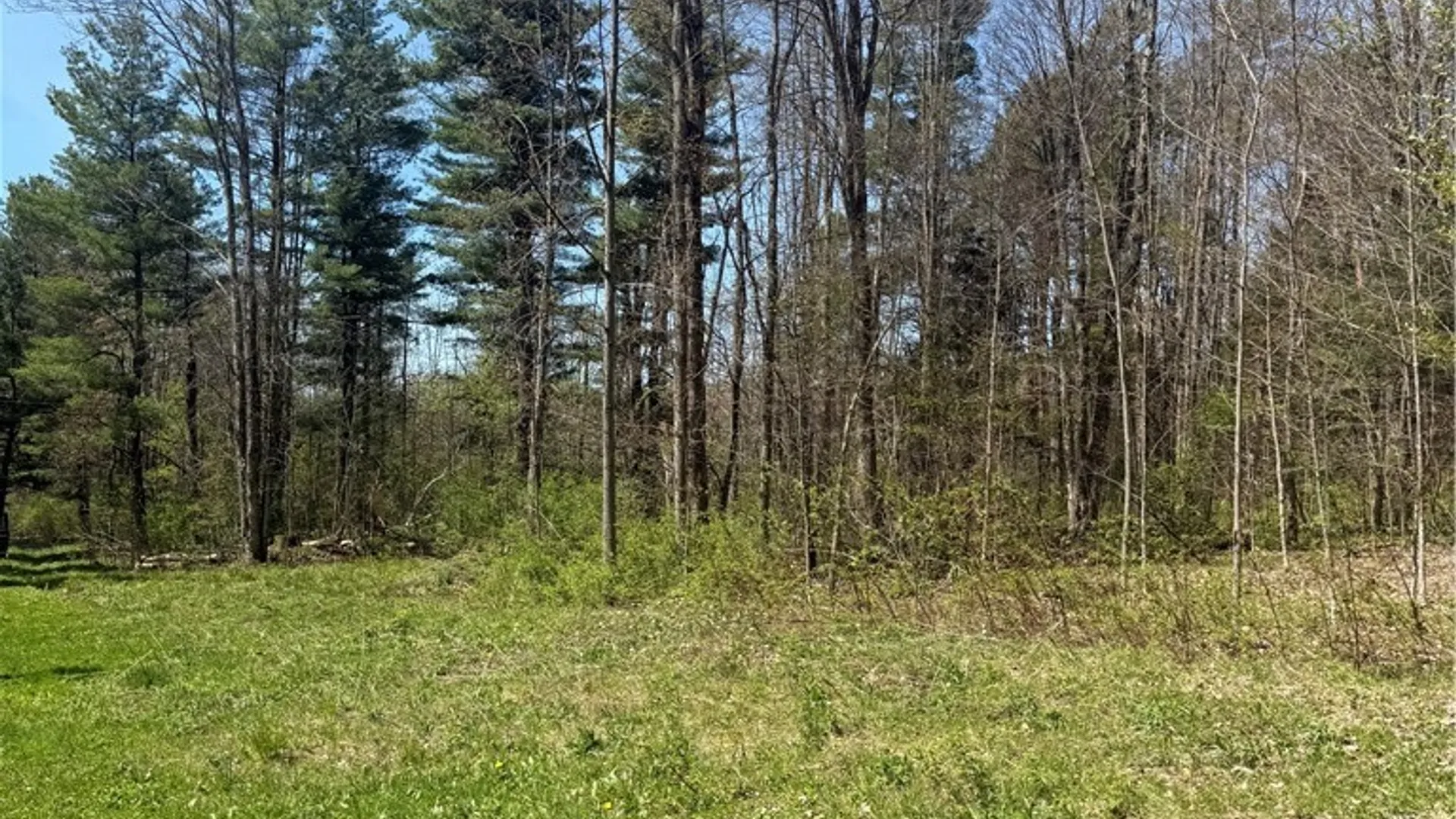 Property at John Darling Road, Conowingo, NY 14772 6