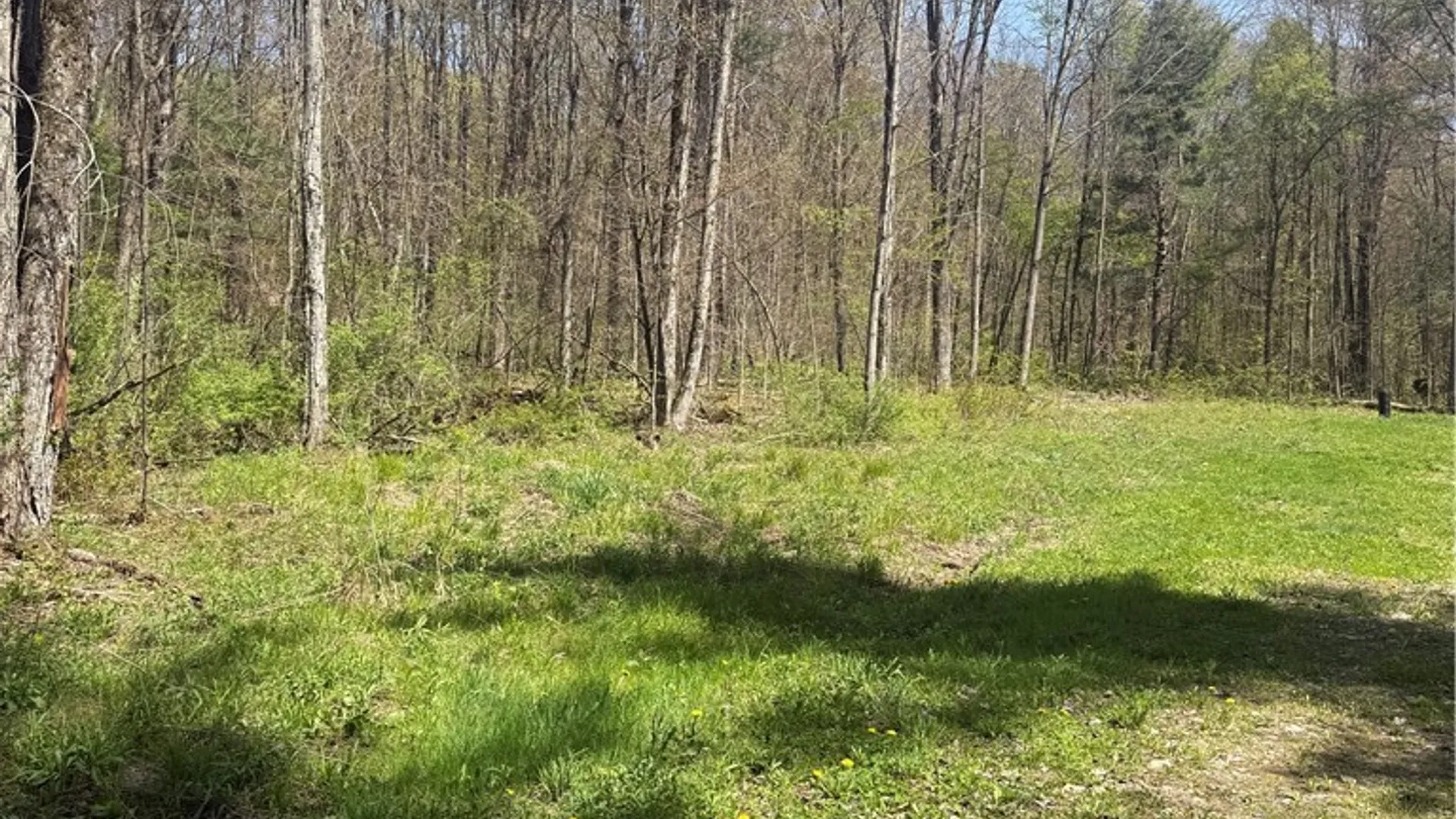 Property at John Darling Road, Conowingo, NY 14772 7
