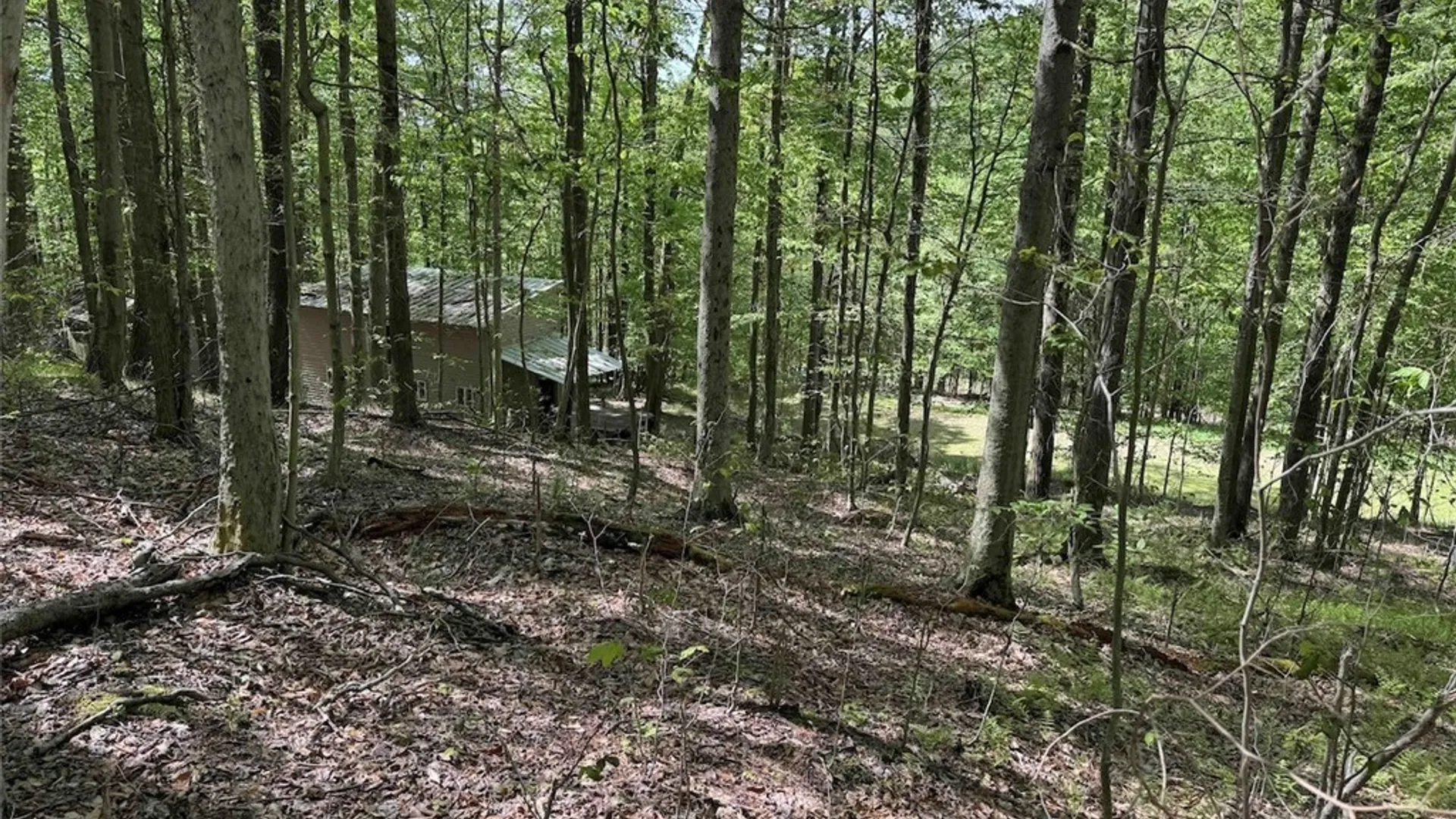 Property at 774 Bent Dipper Road, Genesee, NY 14721 34