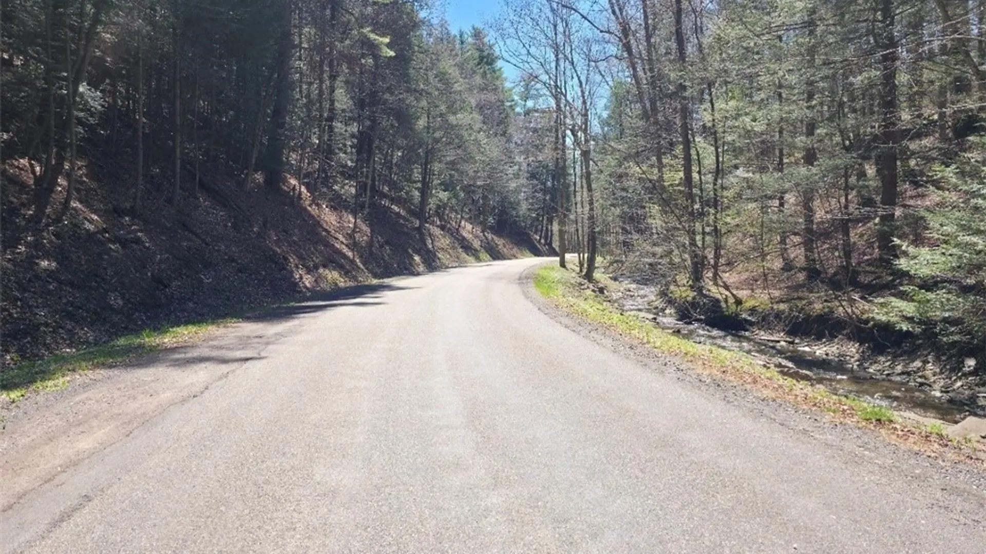 Property at 0 Dunn Road, Catlin, NY 14869 2