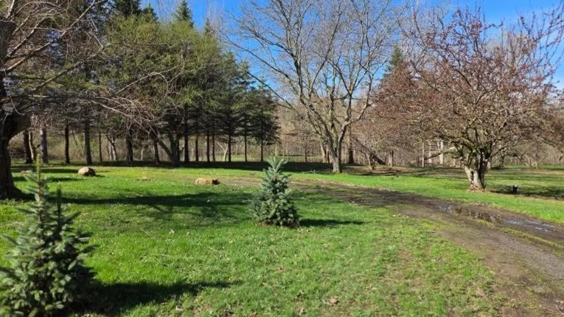 Property at 6161 Clinton St Road, Stafford, NY 14143 7