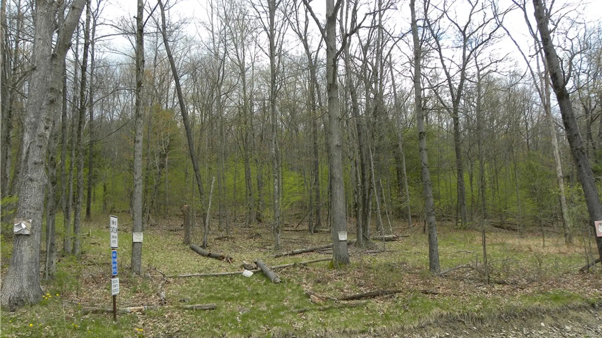 Property at Lot 15 Hibbard Road, Big Flats, NY 14814 5