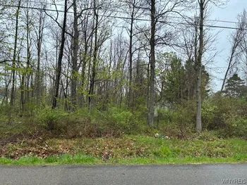 Property at V/L Argyle Avenue, Evans, NY 14006