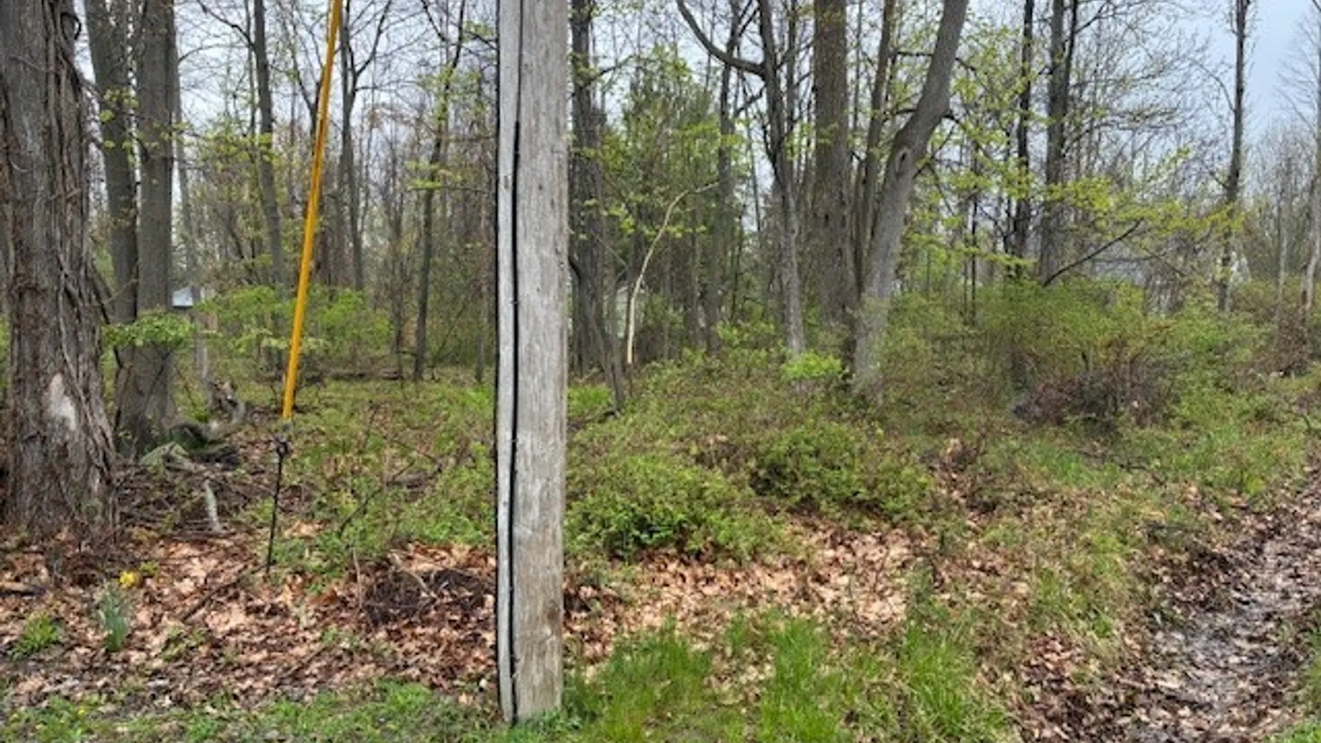 Property at V/L Argyle Avenue, Evans, NY 14006 4