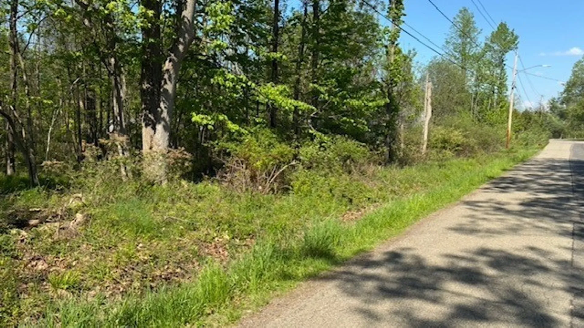 Property at Argyle Avenue, Evans, NY 14006 5
