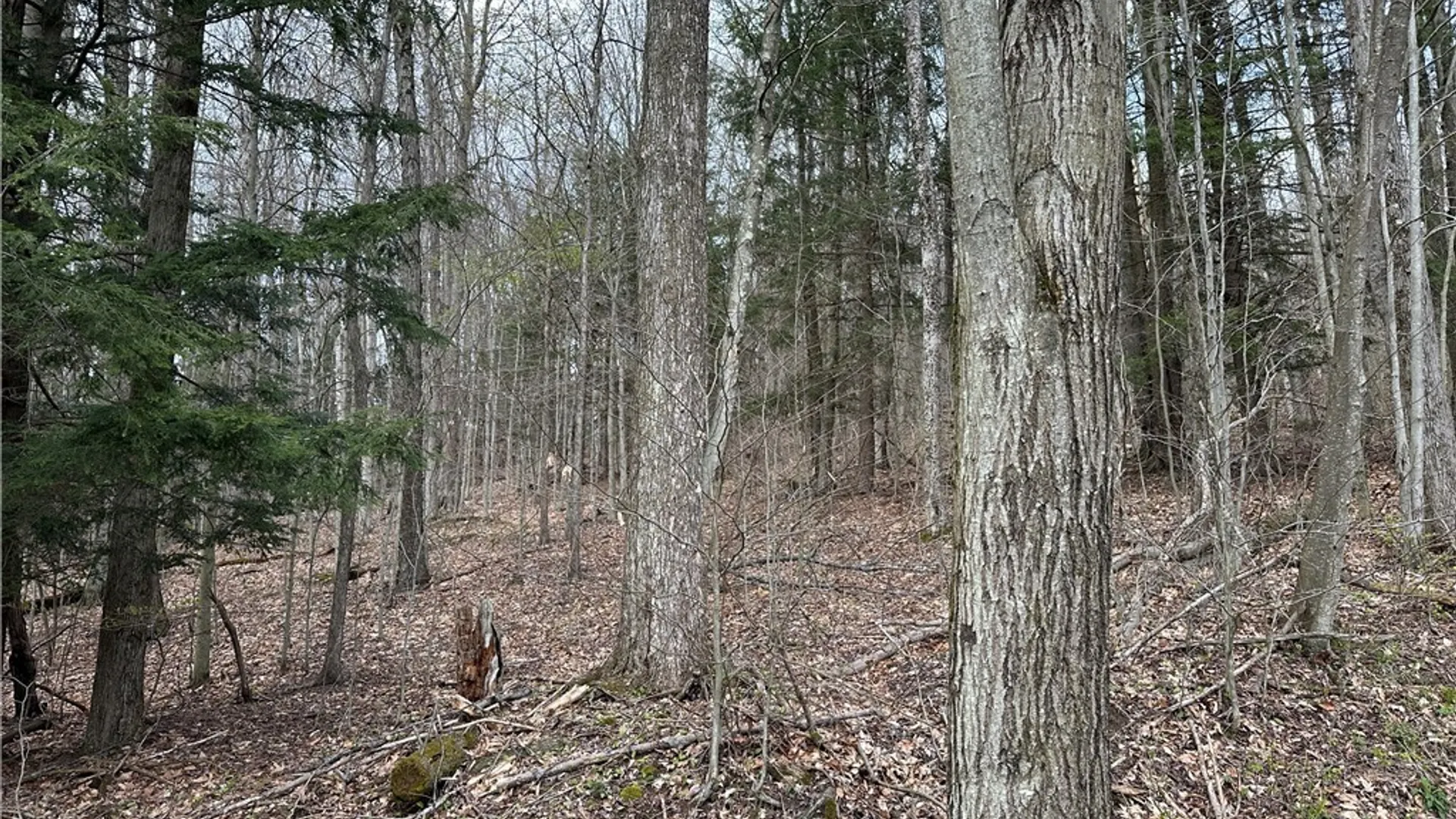 Property at 4098 Barker Run Road, Great Valley, NY 14741 25