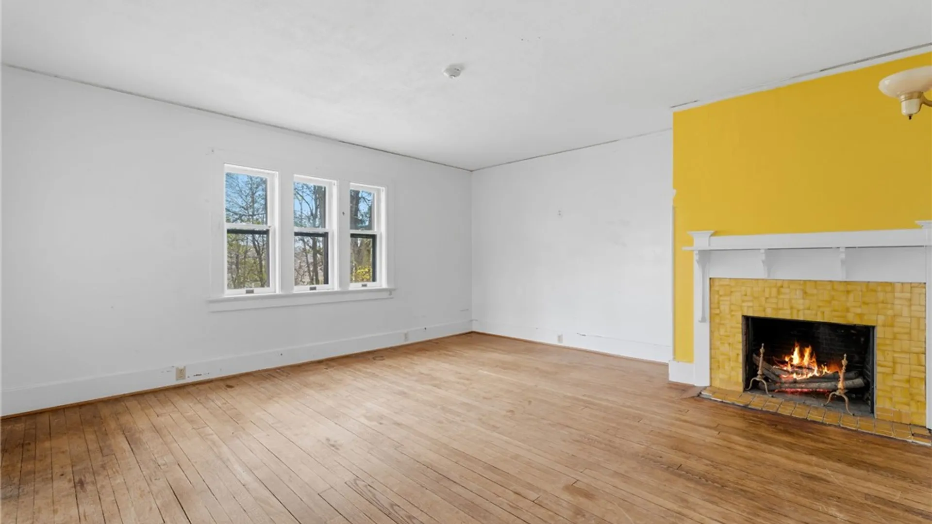 Property at 227 Willard Way, Ithaca City, NY 14850 34