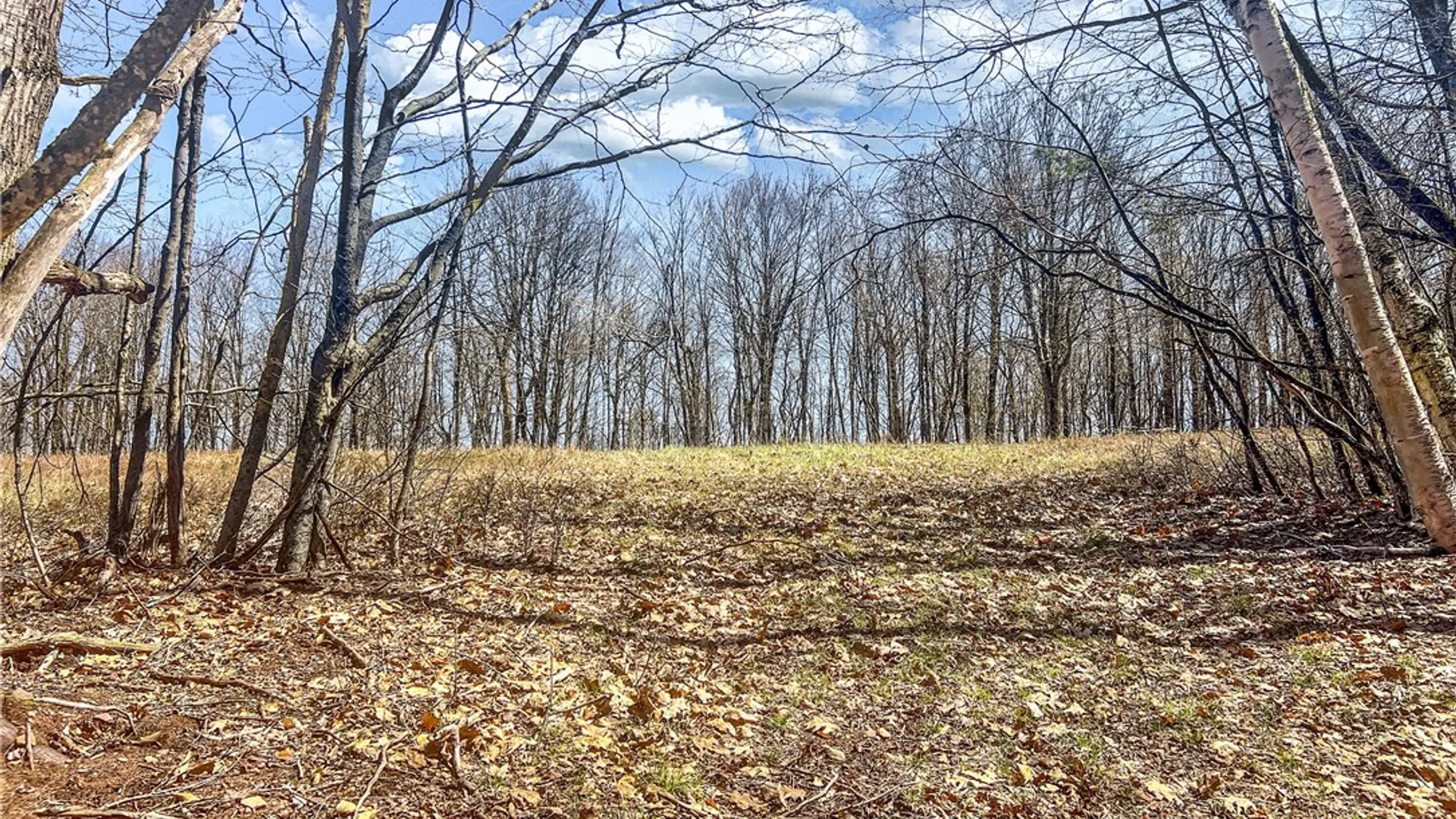 Property at Lots 19, 22, 25 Frank Slawson Road, Davenport, NY 13820 10