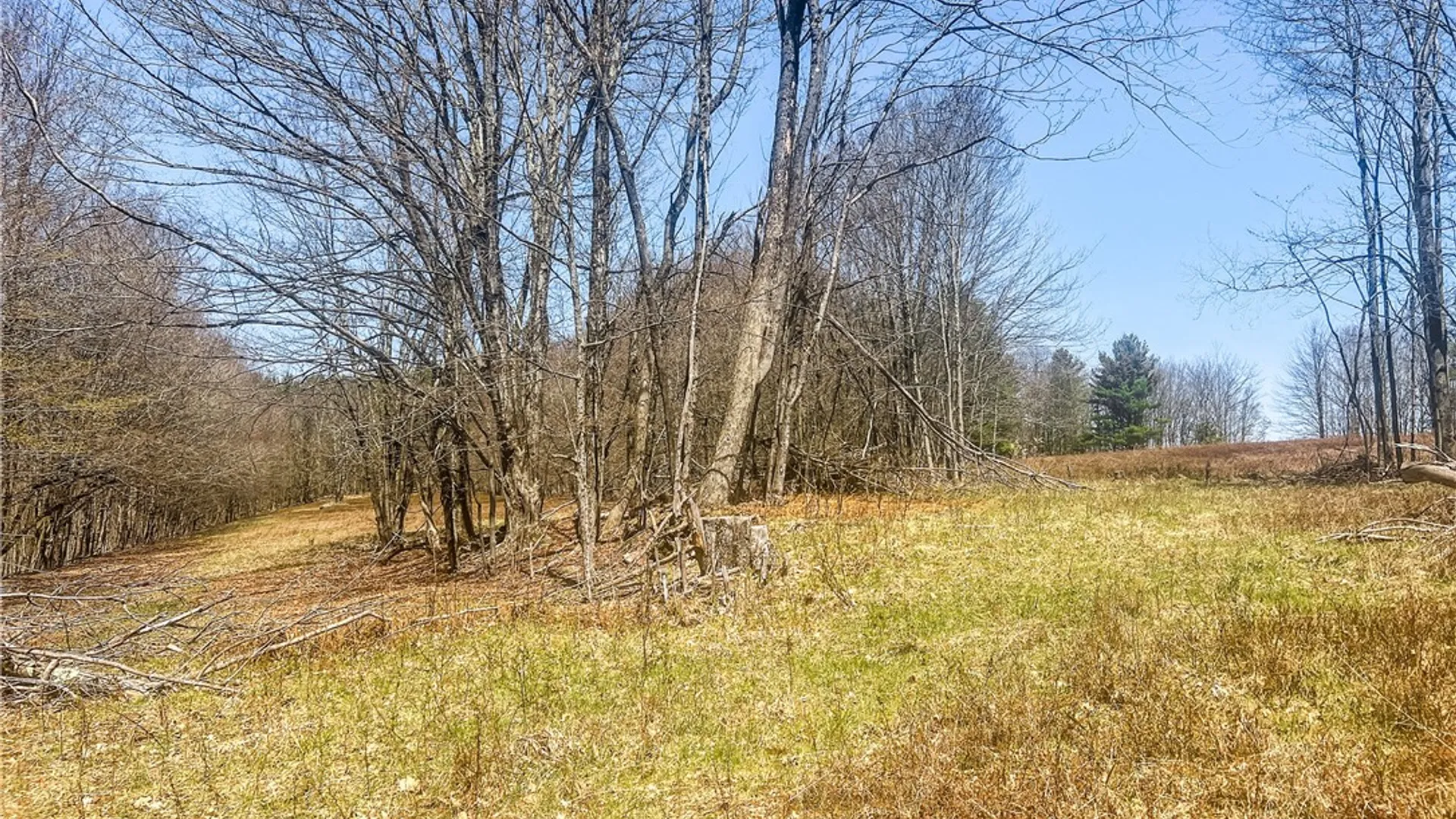 Property at Lots 19, 22, 25 Frank Slawson Road, Davenport, NY 13820 12