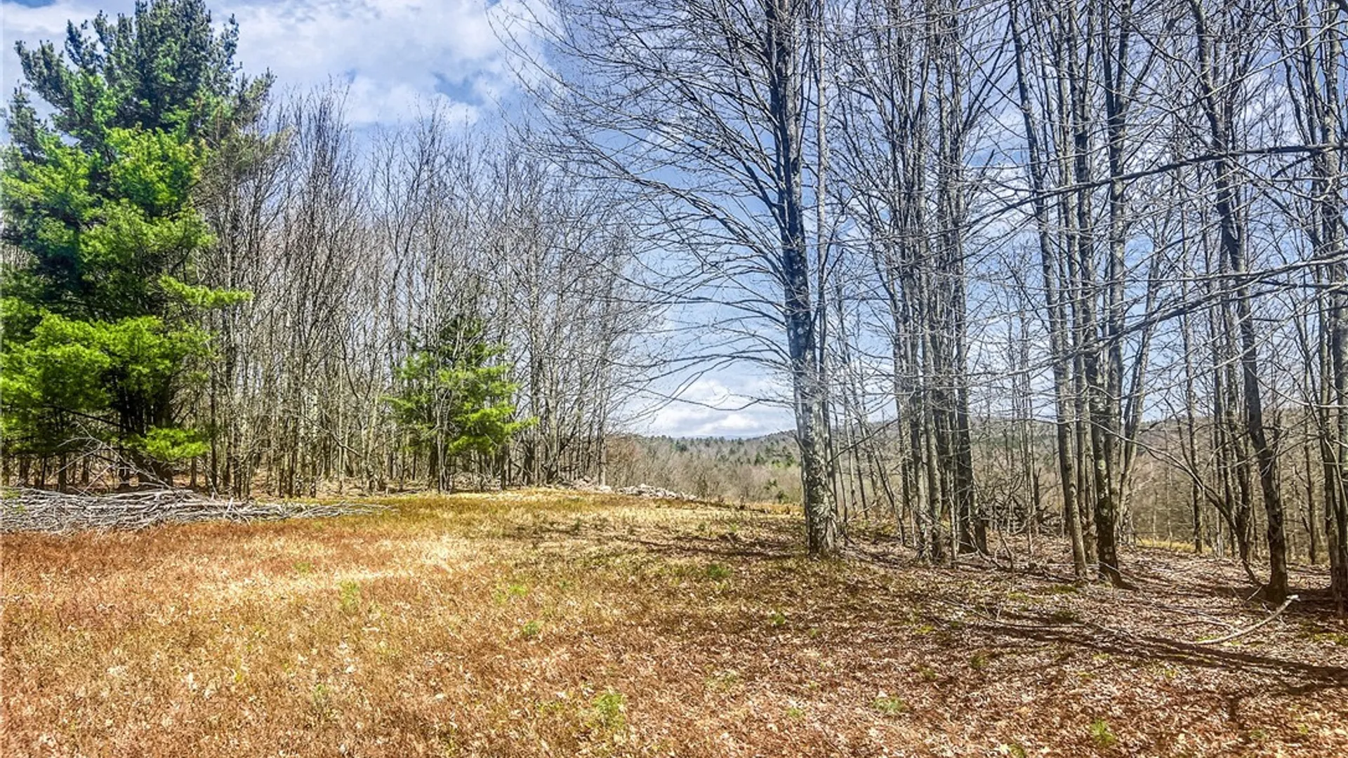 Property at Lots 19, 22, 25 Frank Slawson Road, Davenport, NY 13820 13