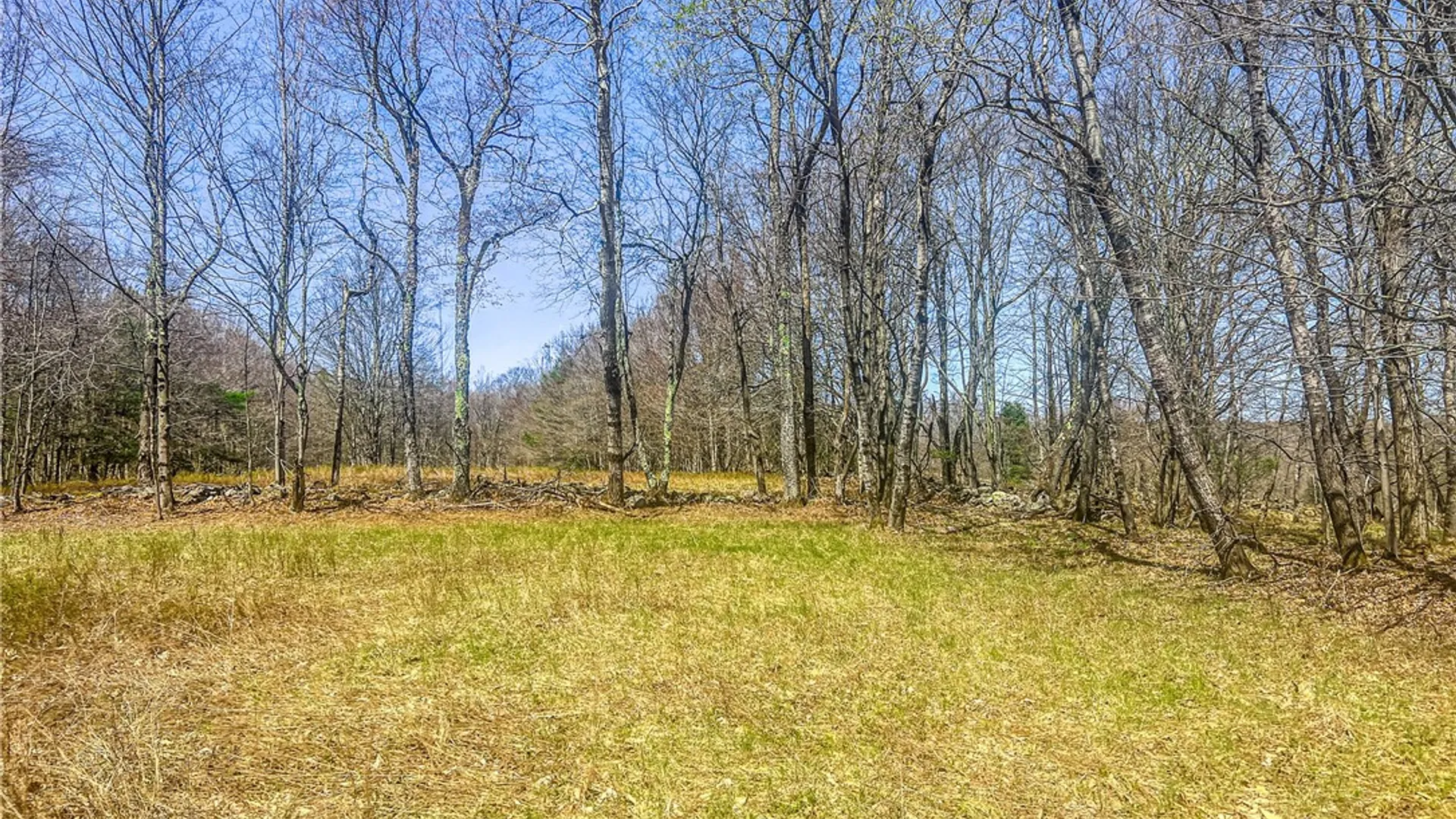Property at Lots 19, 22, 25 Frank Slawson Road, Davenport, NY 13820 14