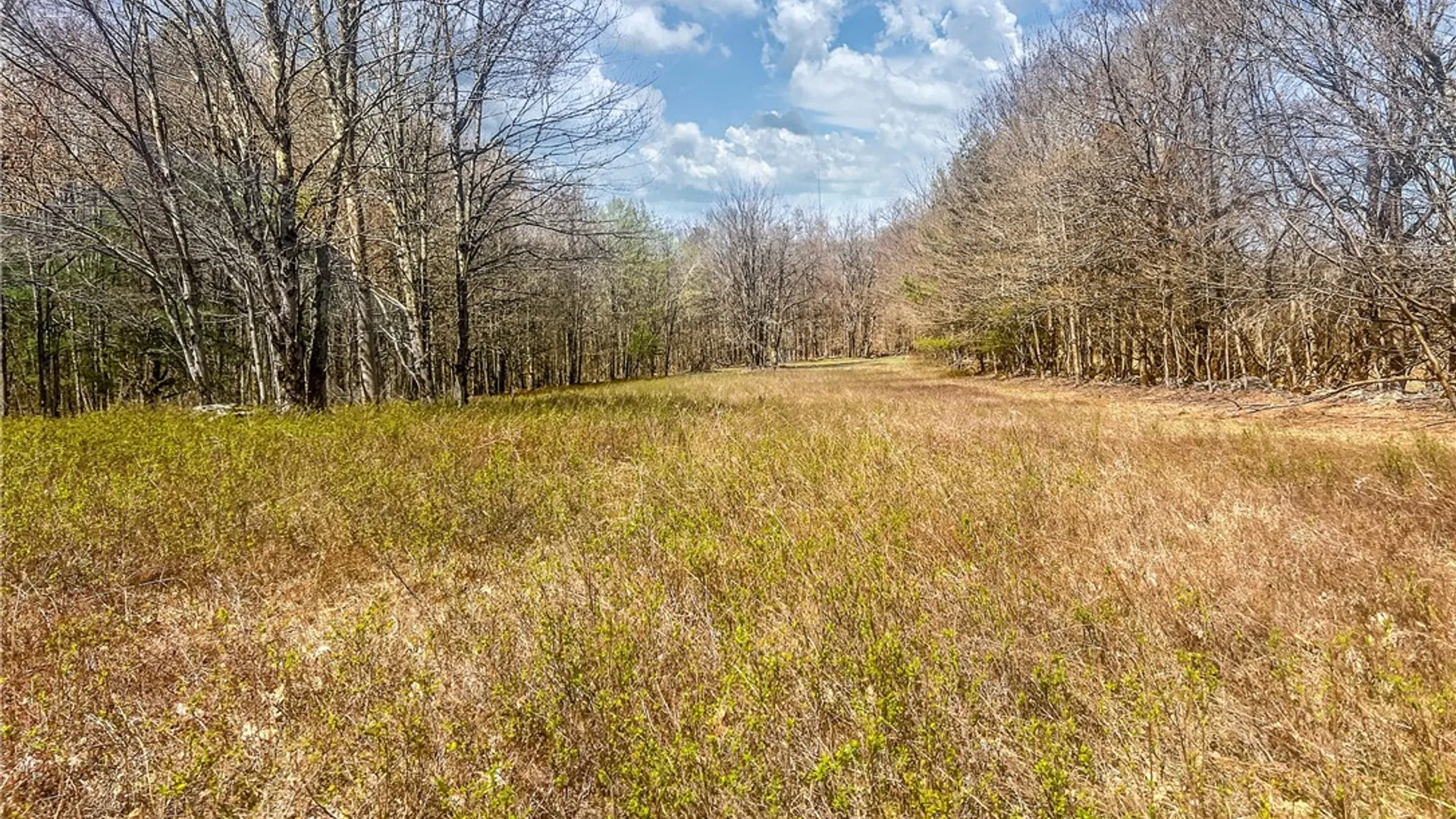 Property at Lots 19, 22, 25 Frank Slawson Road, Davenport, NY 13820 15