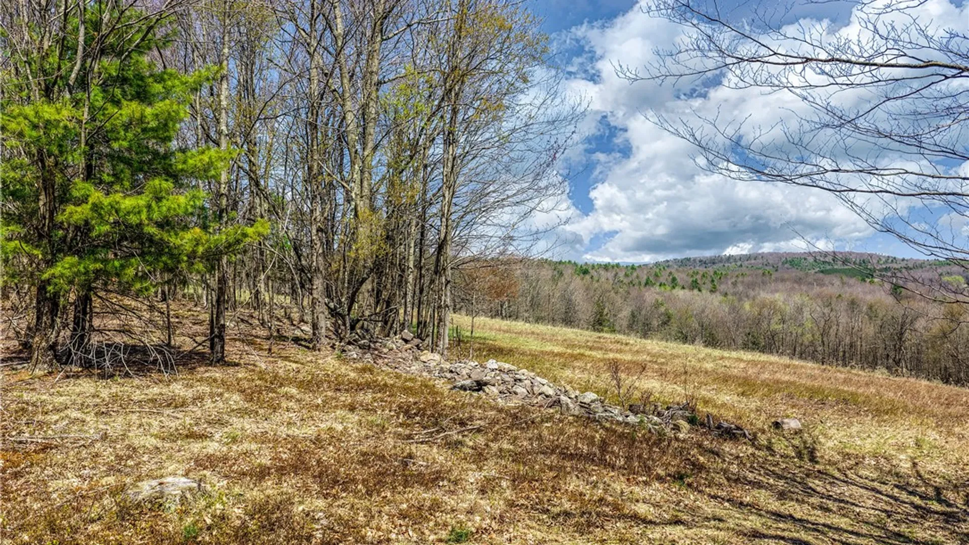 Property at Lots 19, 22, 25 Frank Slawson Road, Davenport, NY 13820 16