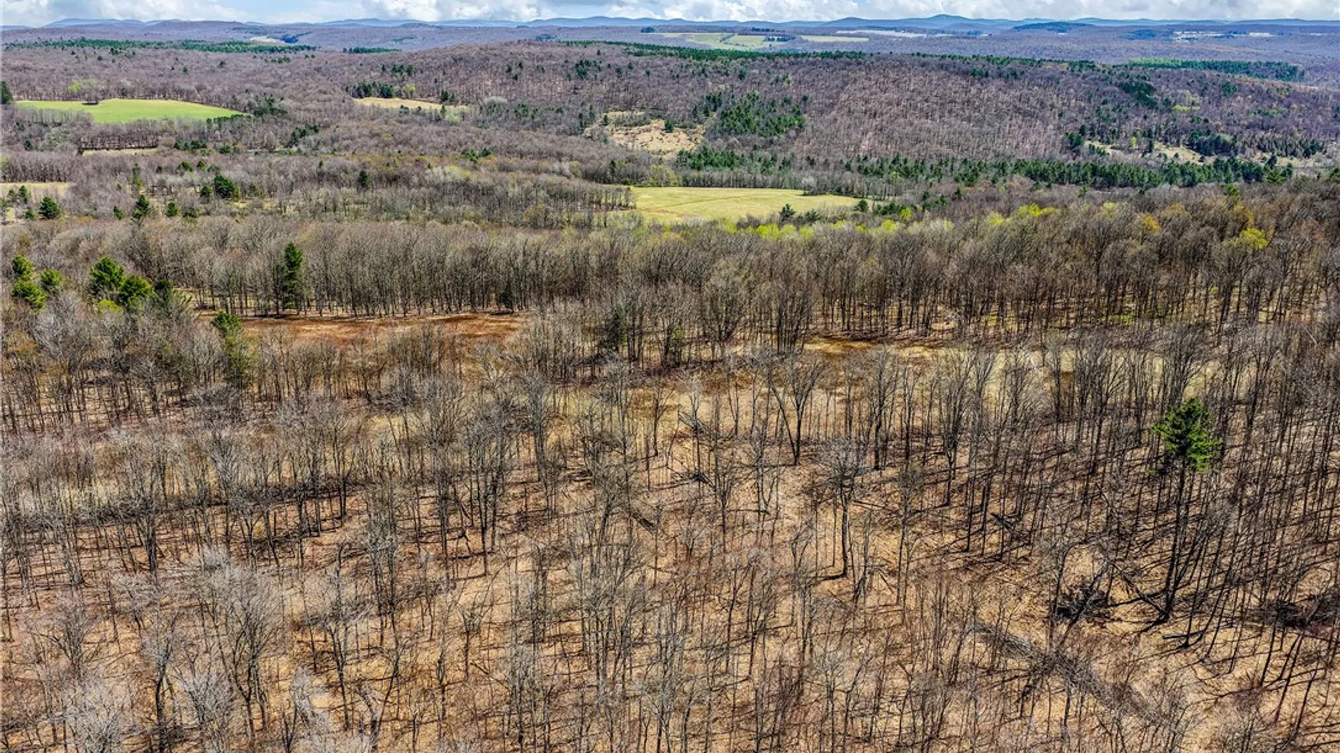 Property at Lots 19, 22, 25 Frank Slawson Road, Davenport, NY 13820 18