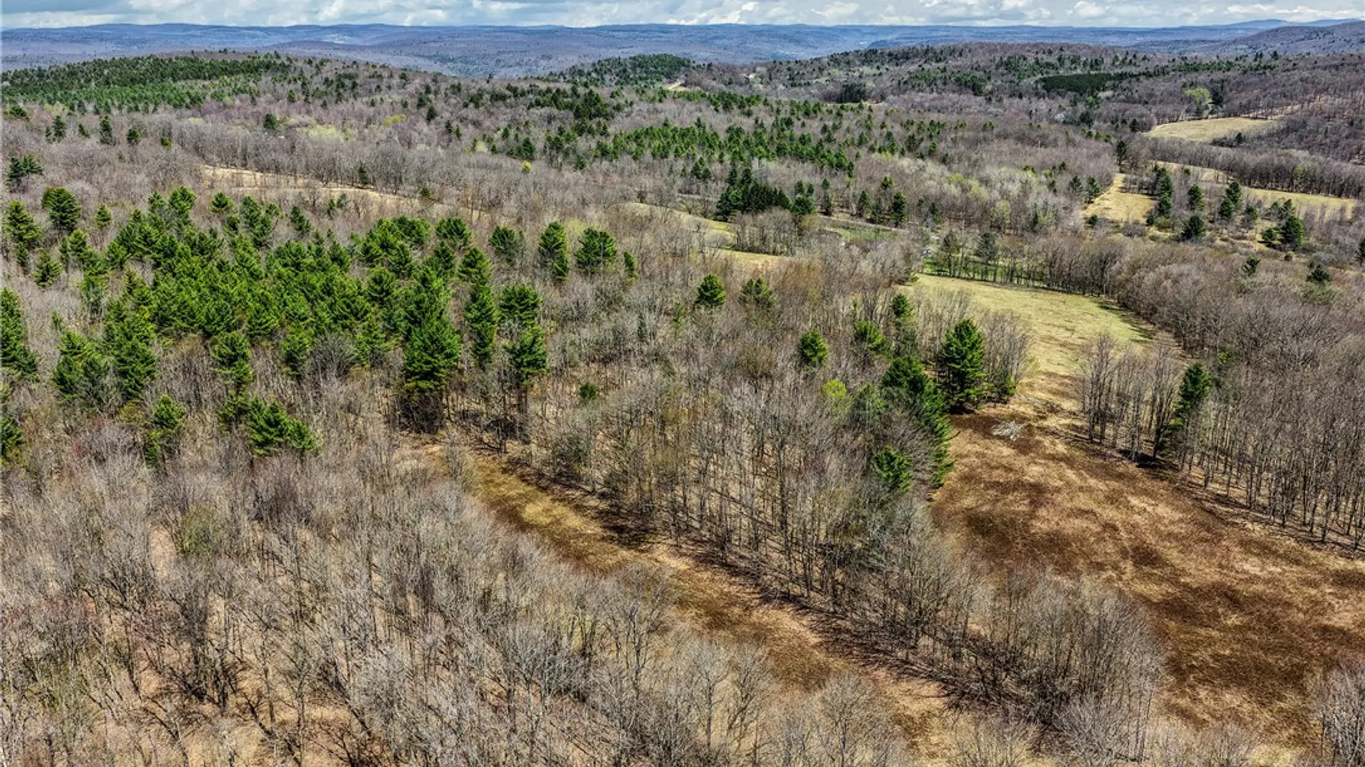 Property at Lots 19, 22, 25 Frank Slawson Road, Davenport, NY 13820 19