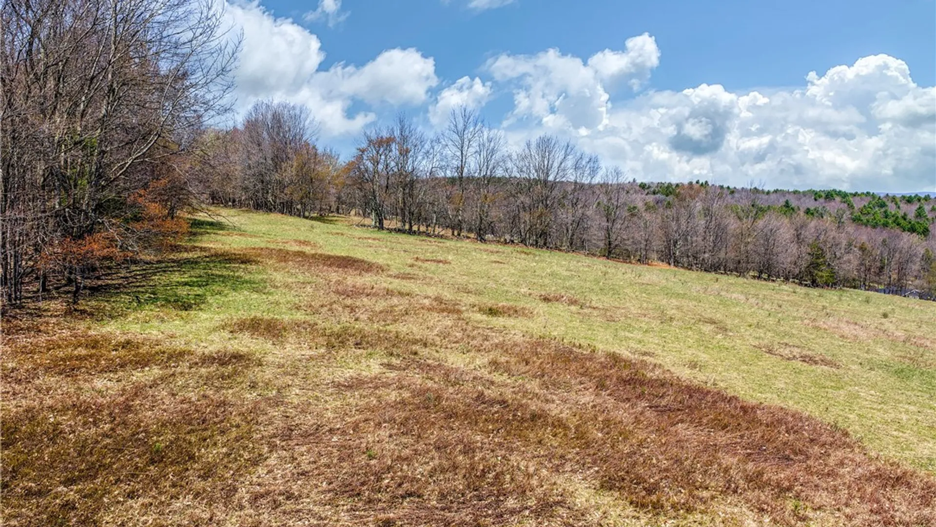 Property at Lots 19, 22, 25 Frank Slawson Road, Davenport, NY 13820 21