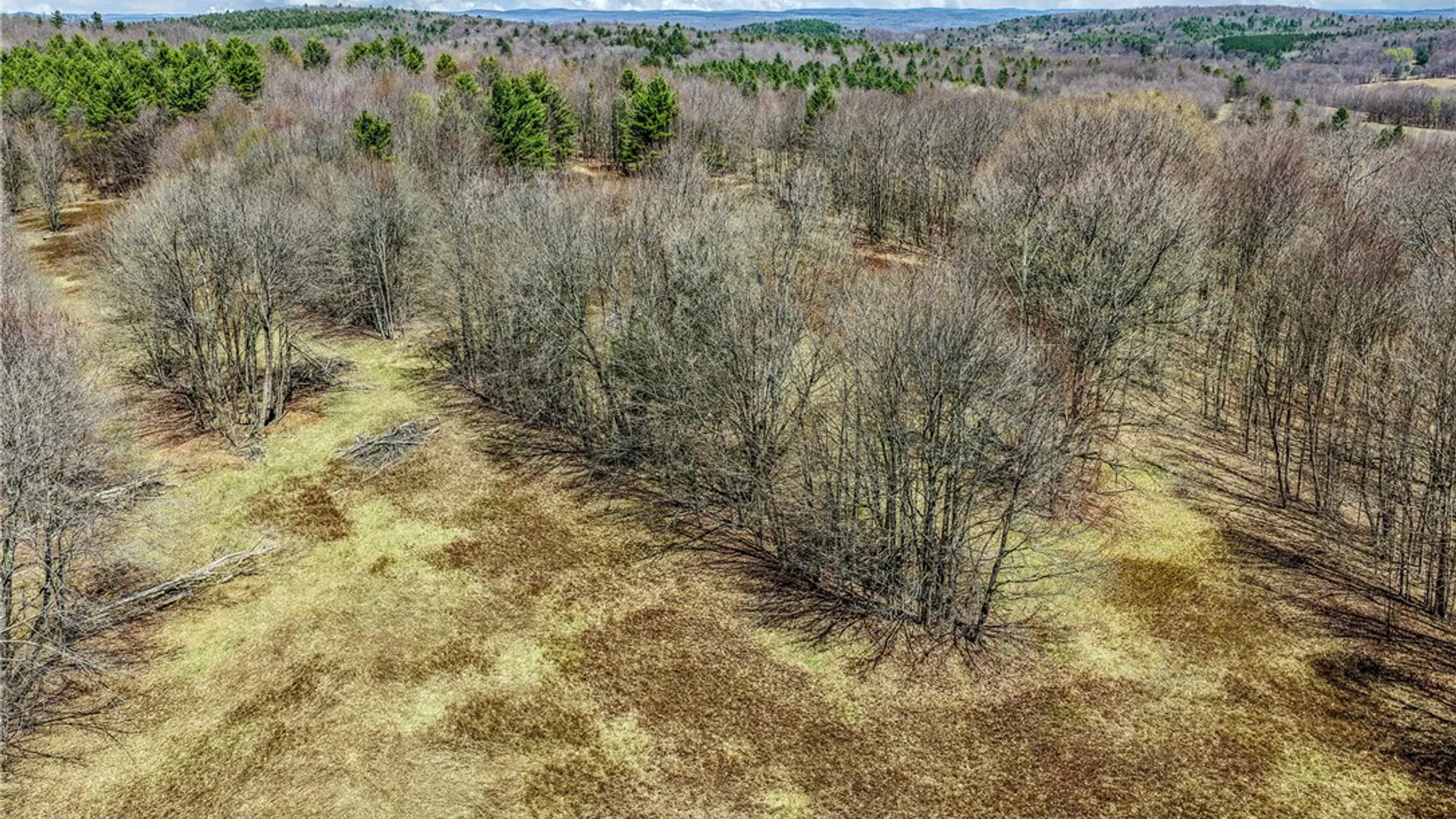 Property at Lots 19, 22, 25 Frank Slawson Road, Davenport, NY 13820 22