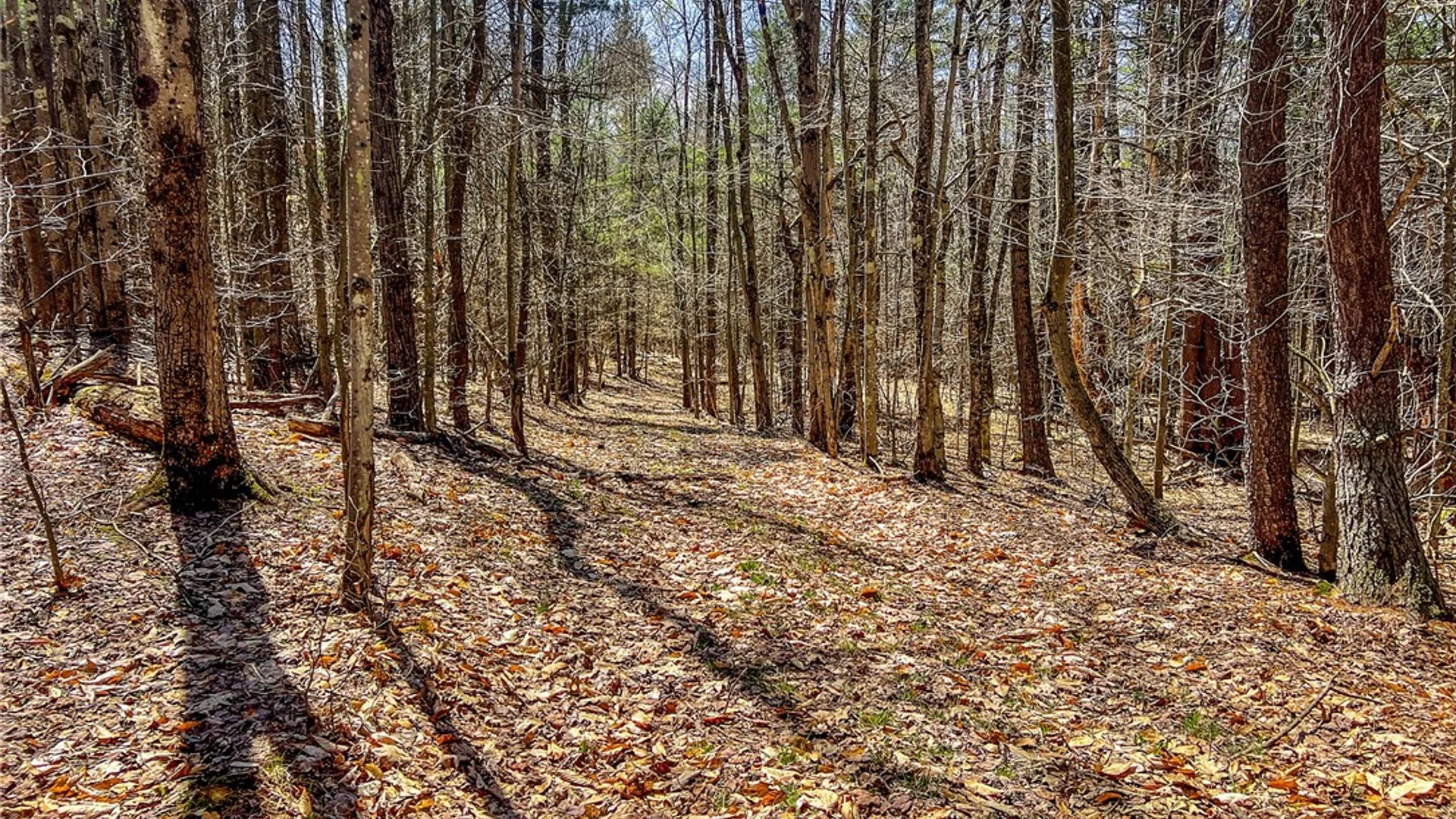Property at Lots 19, 22, 25 Frank Slawson Road, Davenport, NY 13820 24