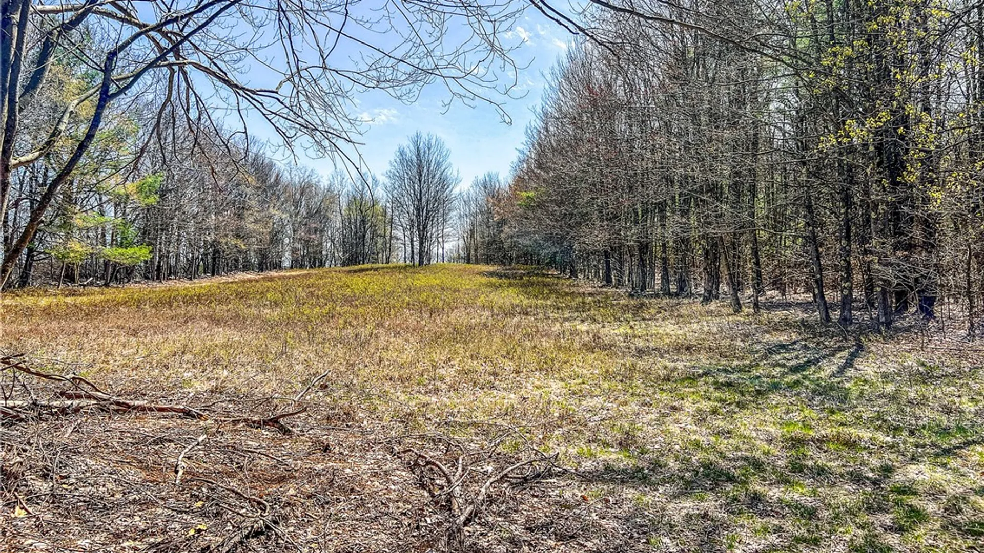 Property at Lots 19, 22, 25 Frank Slawson Road, Davenport, NY 13820 25