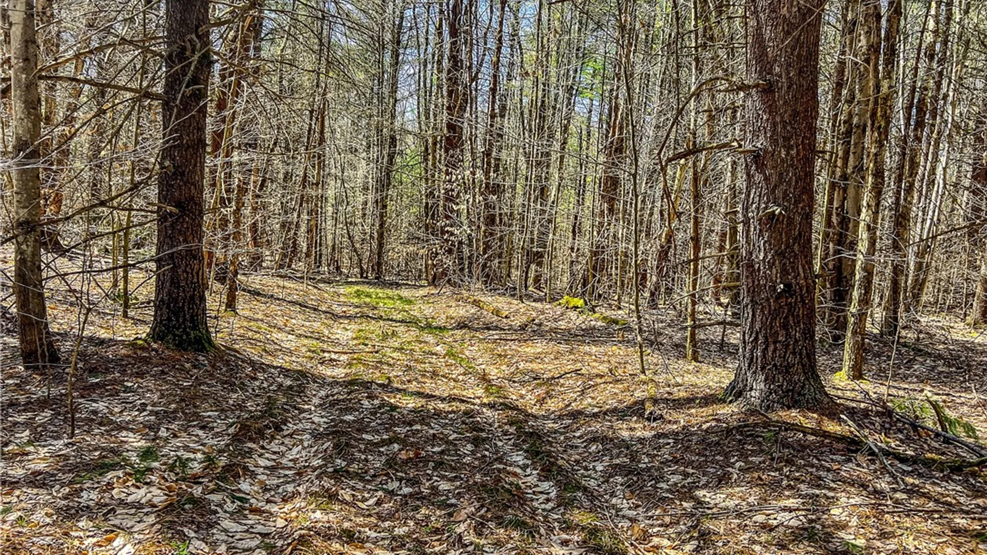 Property at Lots 19, 22, 25 Frank Slawson Road, Davenport, NY 13820 26