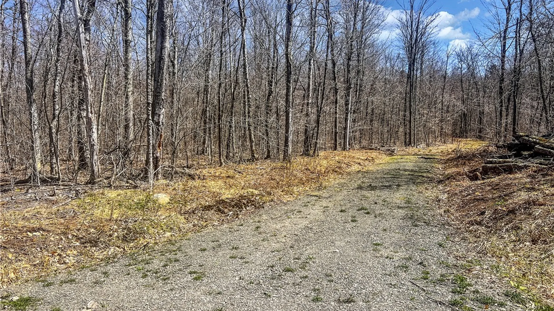 Property at Lots 19, 22, 25 Frank Slawson Road, Davenport, NY 13820 5