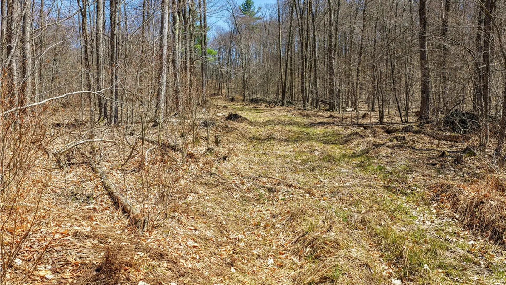 Property at Lots 19, 22, 25 Frank Slawson Road, Davenport, NY 13820 6