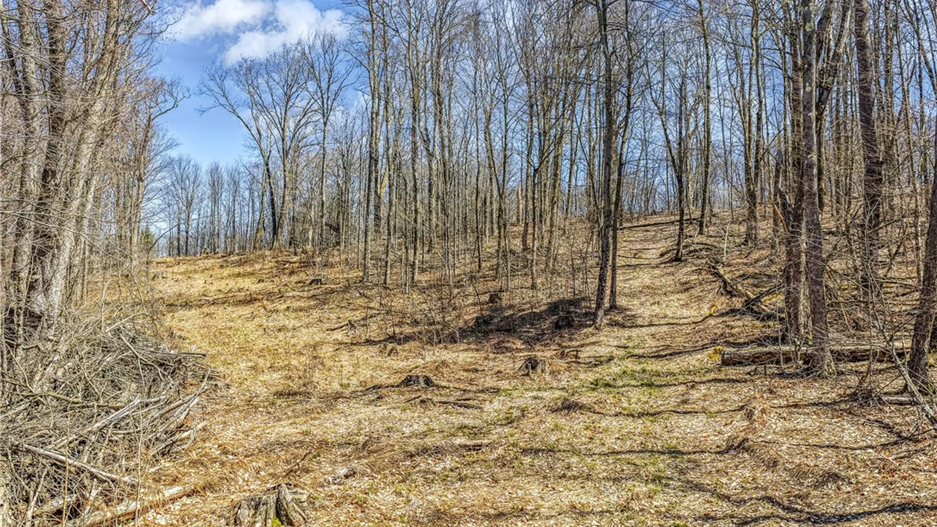 Property at Lots 19, 22, 25 Frank Slawson Road, Davenport, NY 13820 7