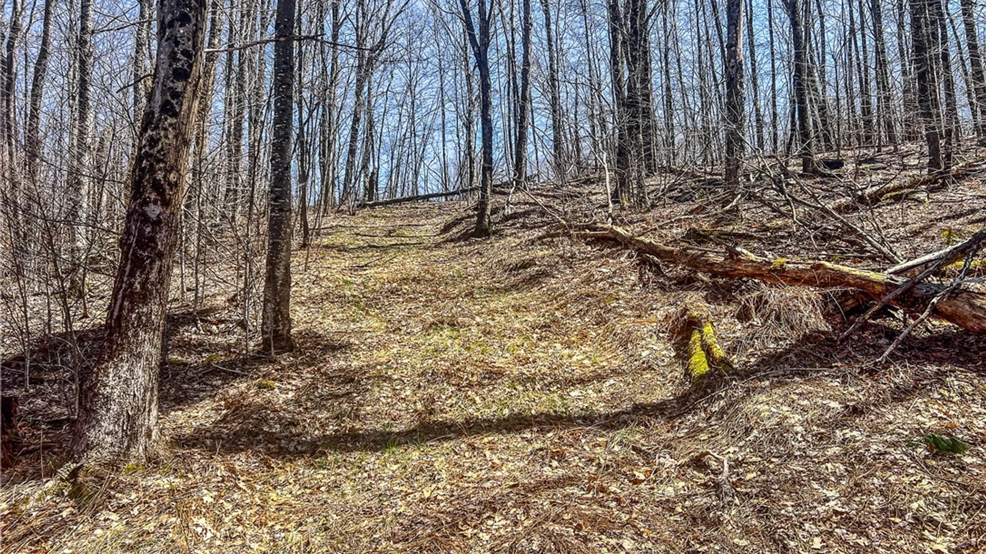 Property at Lots 19, 22, 25 Frank Slawson Road, Davenport, NY 13820 8