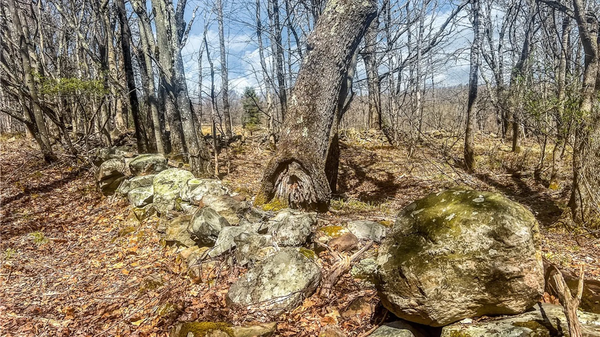 Property at Lots 19, 22, 25 Frank Slawson Road, Davenport, NY 13820 9
