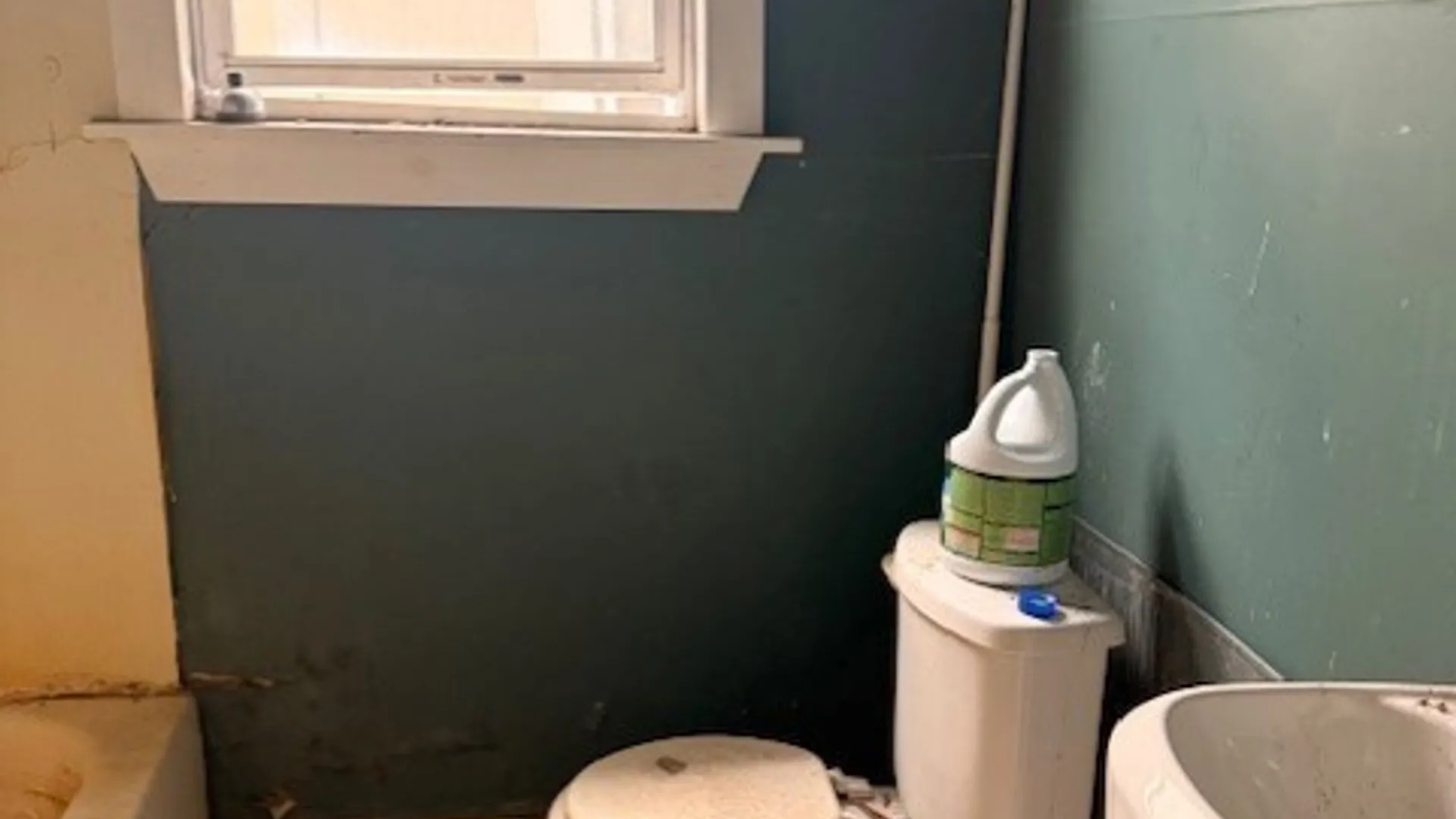 Property at 17 Oakwood Place, Buffalo, NY 14214 23
