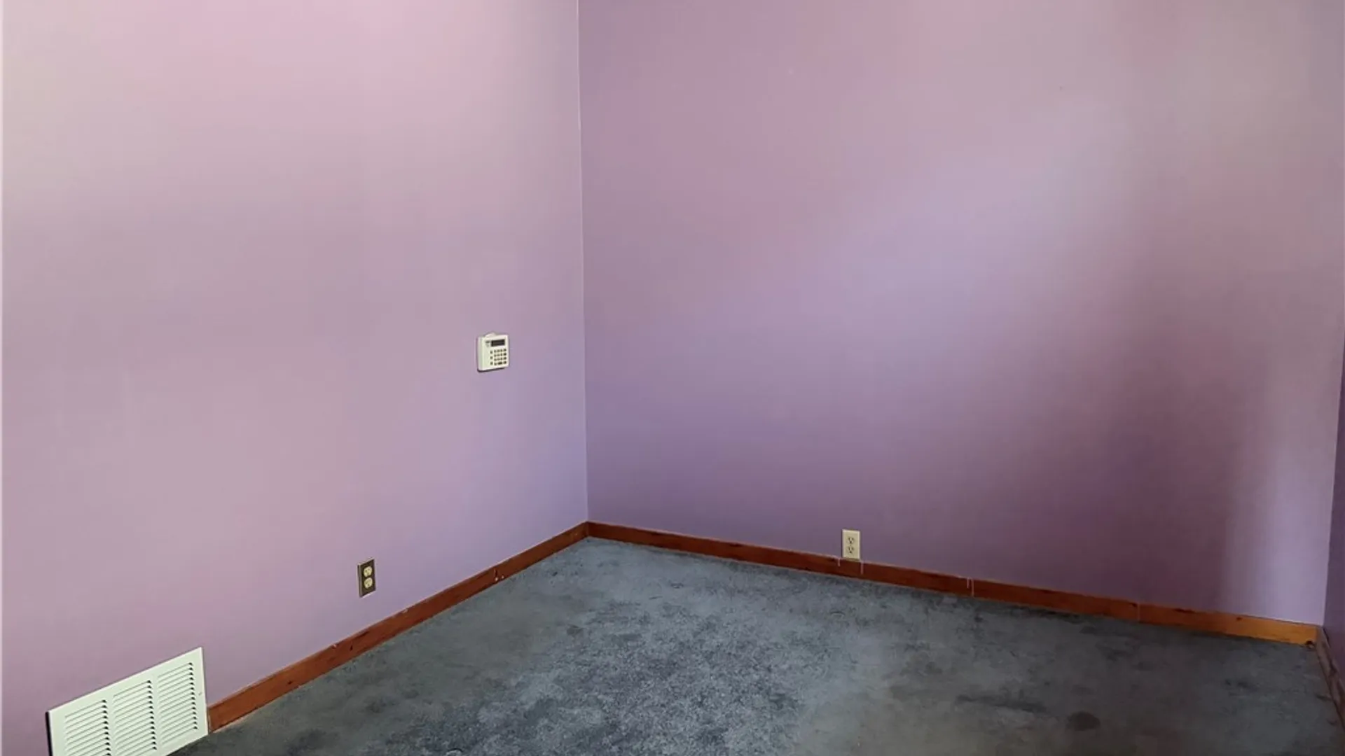 Property at 219 Weiss Street, Buffalo, NY 14206 7