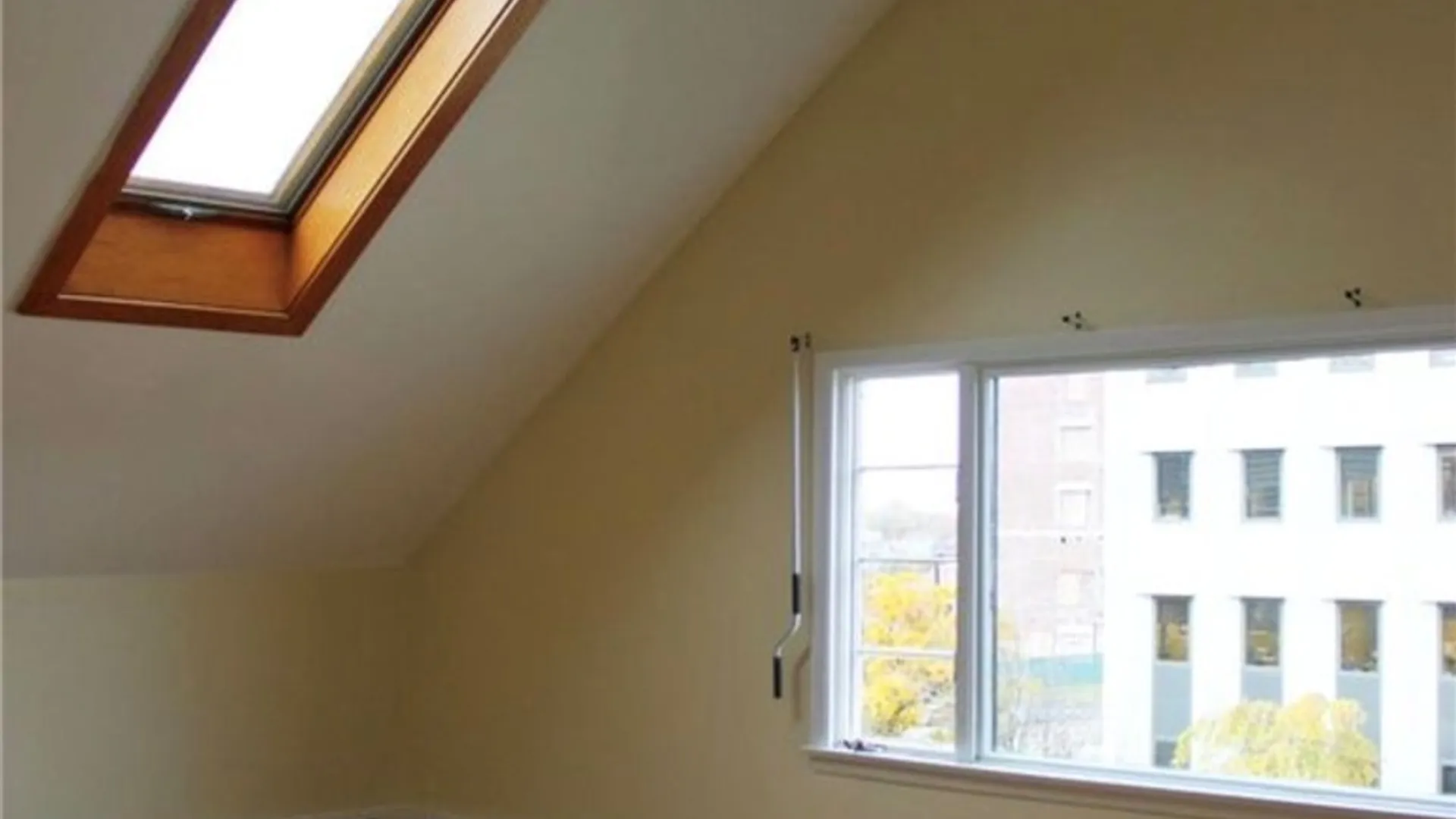 Property at 223 Alexander Street, Rochester, NY 14607 3
