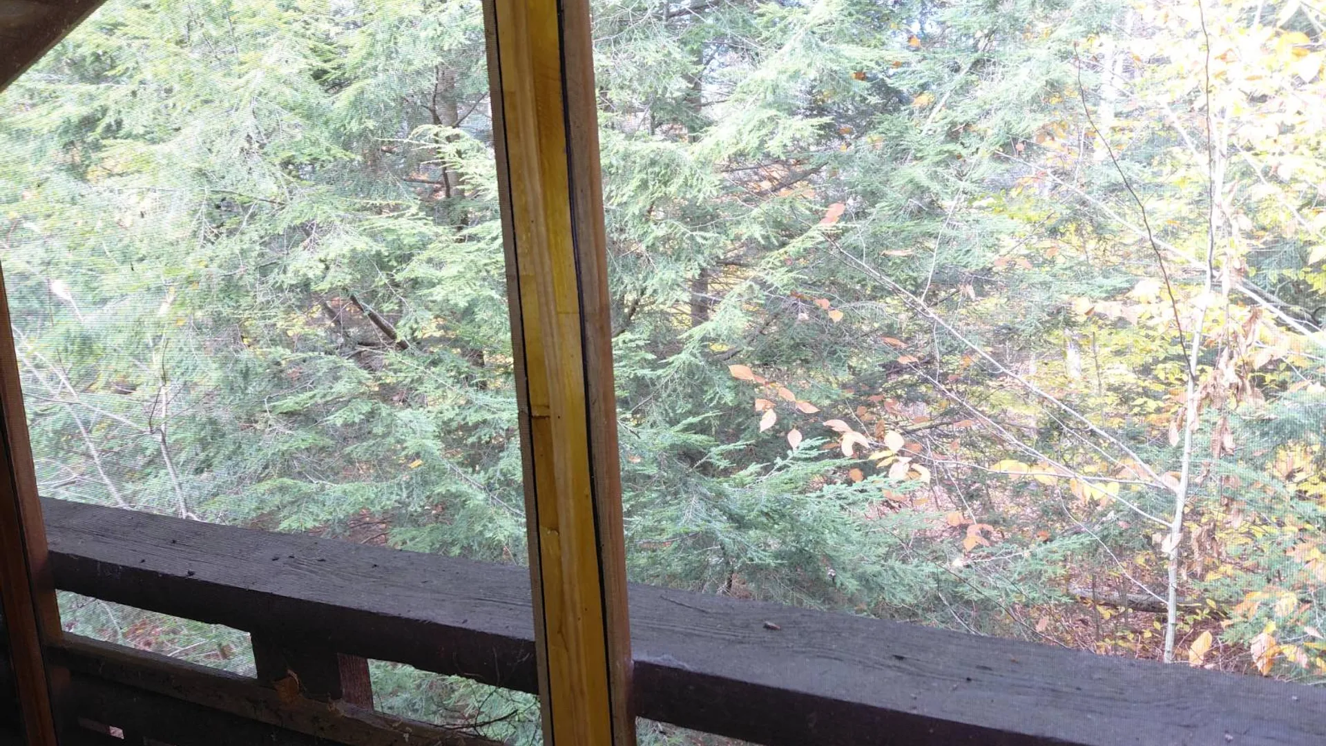 Property at 454 Lily Lake Road, Gloversville, NY 12078 38