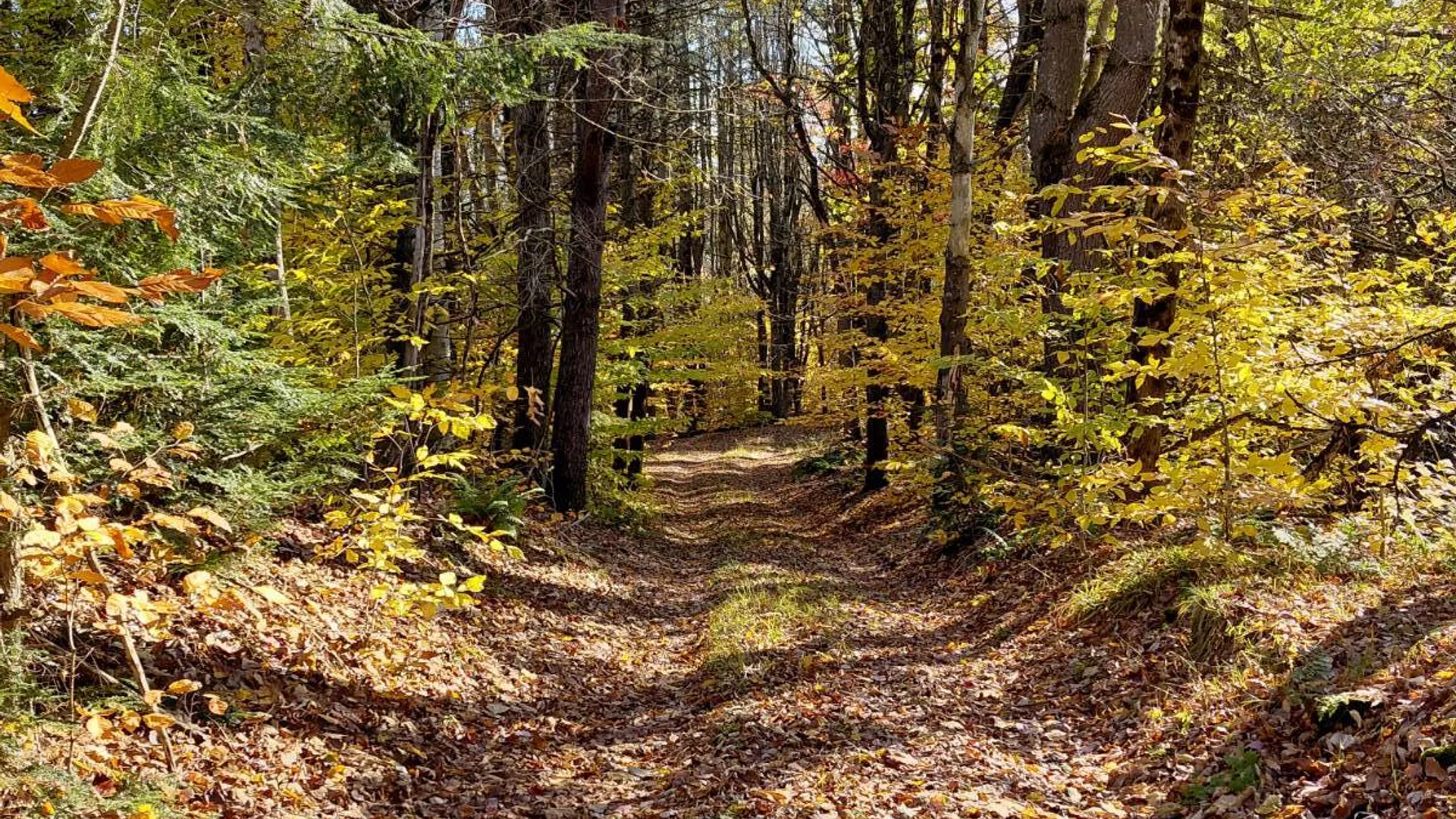 Property at 454 Lily Lake Road, Gloversville, NY 12078 57