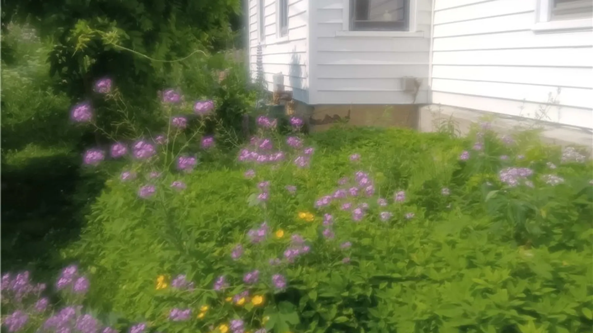 Property at 7 Vorhis Street, Friendship, NY 14739 49