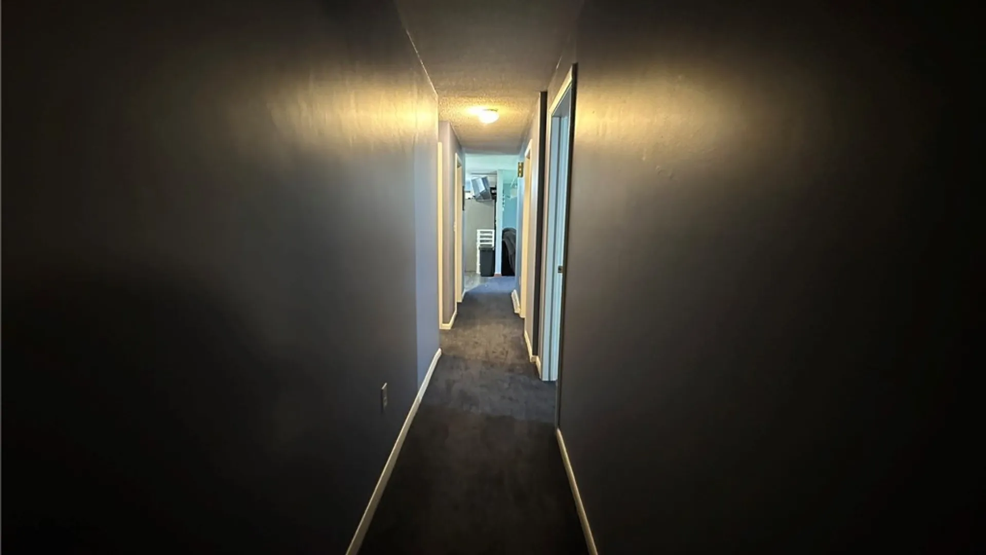 Property at 25 Burnham Place, Stockton, NY 14718 22